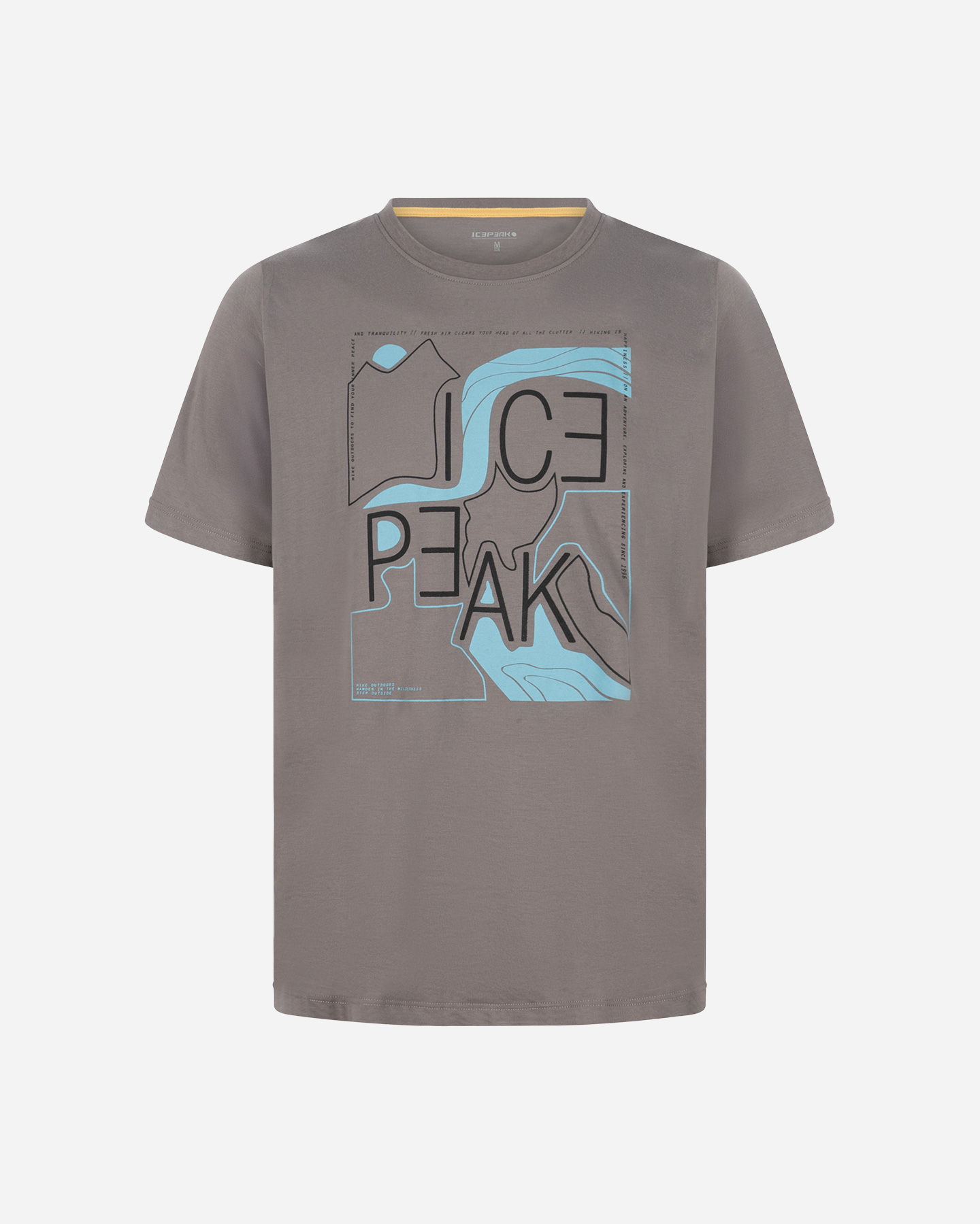 T-shirt ICEPEAK BEEVILLE M - Grigio - 0 | Cisalfa Sport