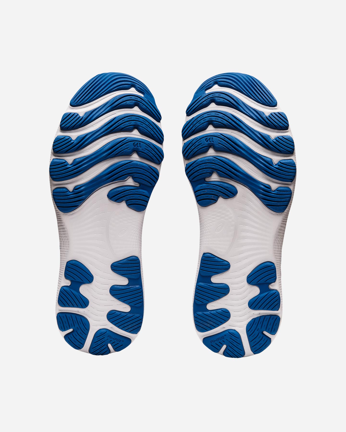 Scarpe running ASICS GEL NIMBUS 24 W - 15 | Cisalfa Sport