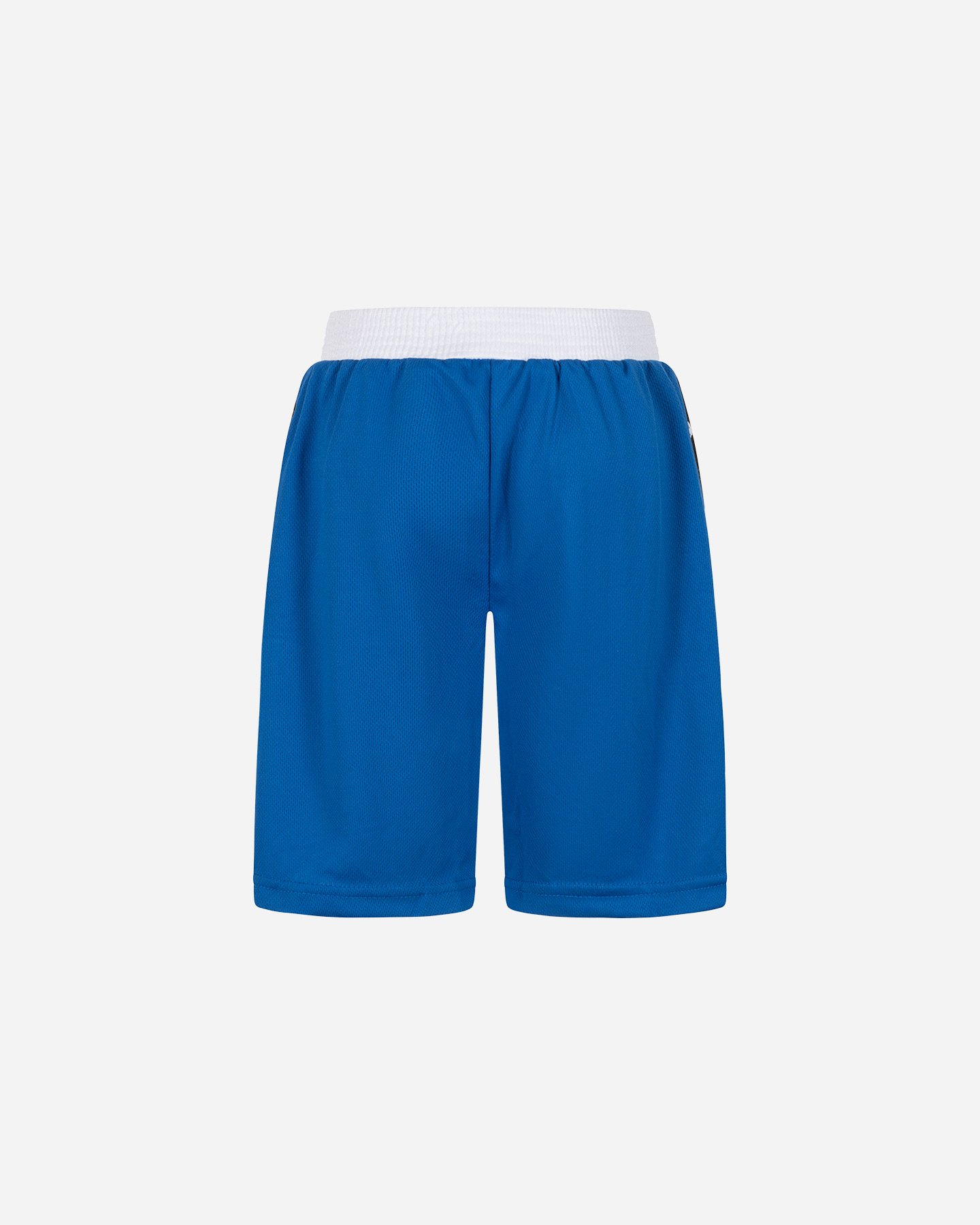Short training LEONE BOXE ICONIC  - Blu - 1 | Cisalfa Sport