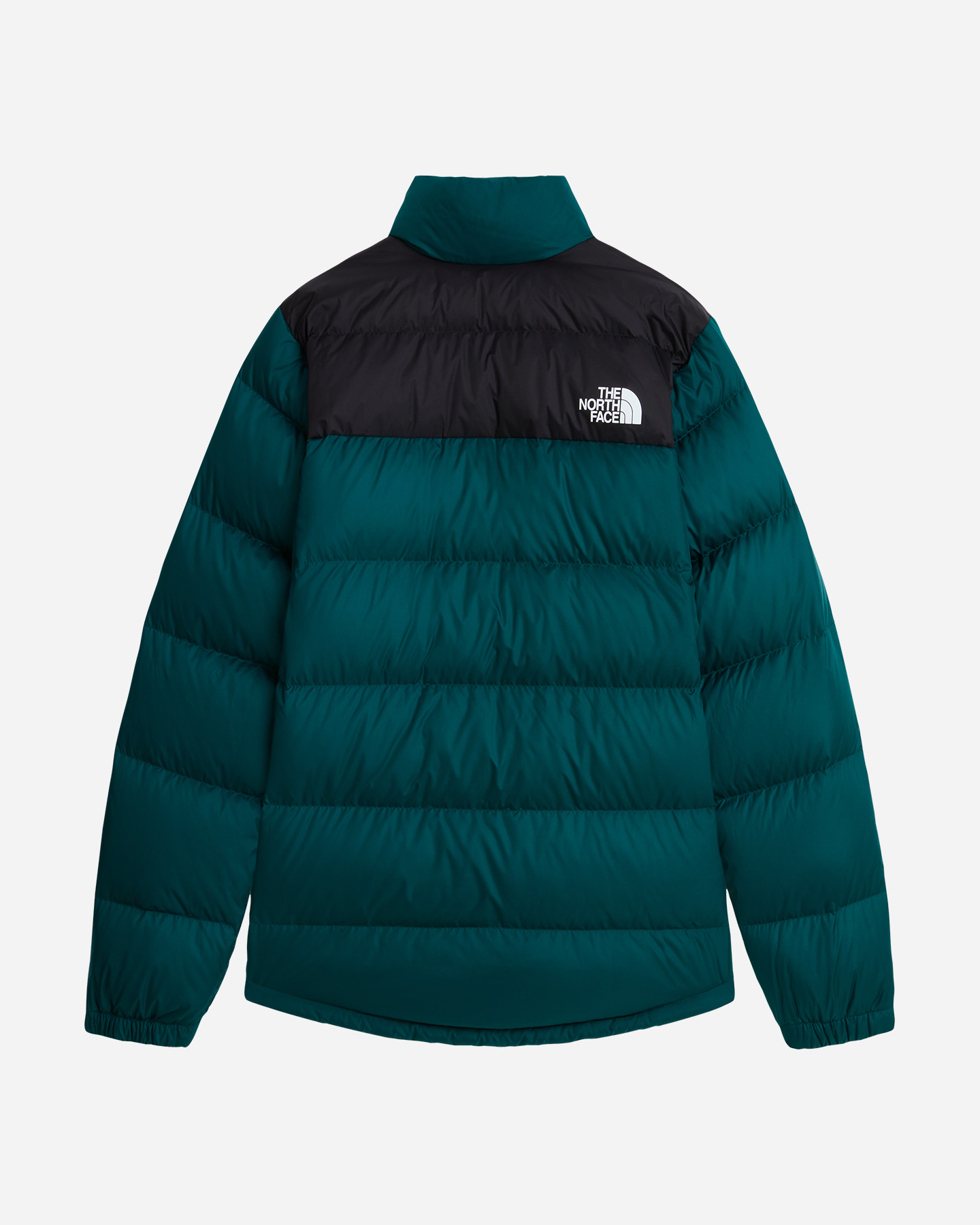 Piumino THE NORTH FACE EREBUS COLLAR M - Verde - 1 | Cisalfa Sport