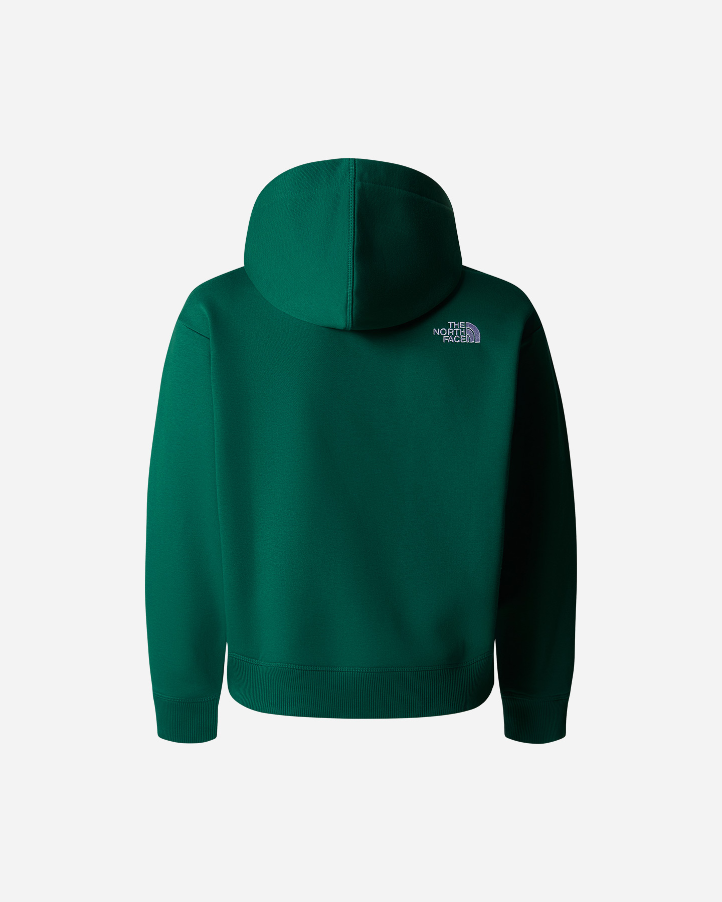 Felpa THE NORTH FACE OVER ESSENTIAL JR - Verde - 1 | Cisalfa Sport