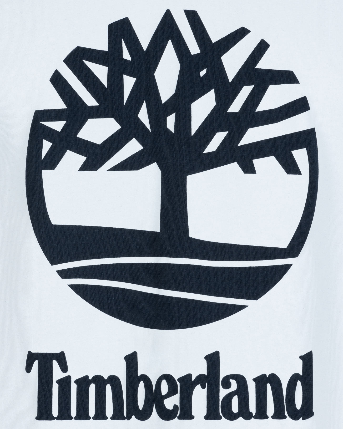 T-shirt TIMBERLAND LOGO QUADRATO M - Blu - 2 | Cisalfa Sport