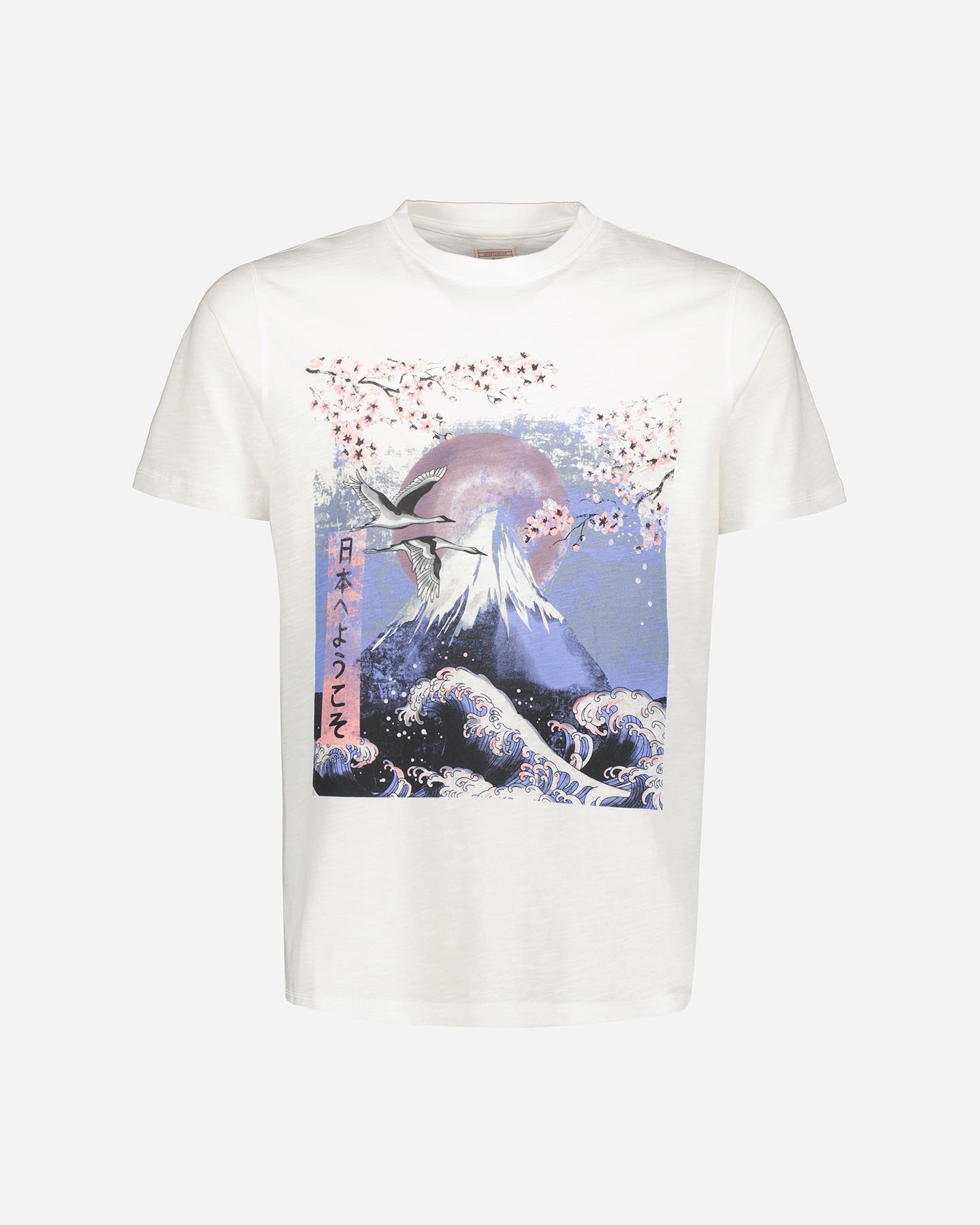 T-shirt BY AMERICAN MONTE FUJI MAJESTY M - Bianco - 5 | Cisalfa Sport