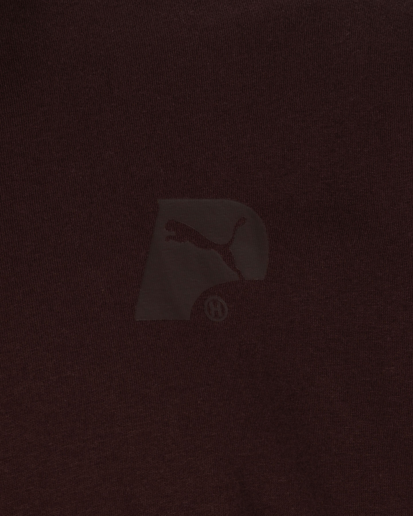 T-shirt PUMA HOOPS TEAM M - Marrone - 2 | Cisalfa Sport