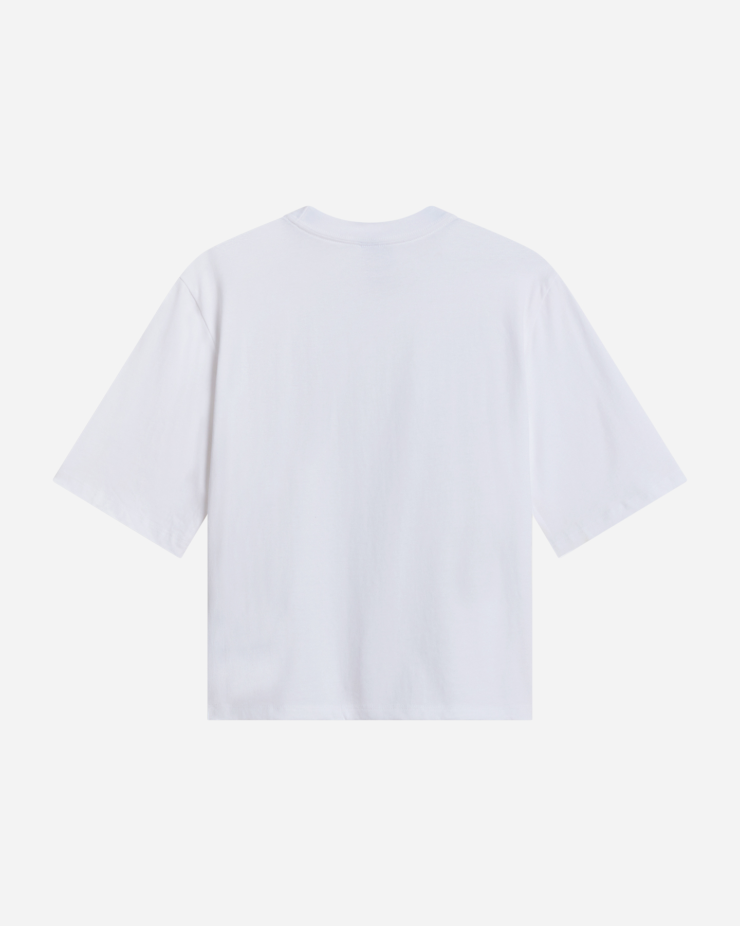T-shirt THE NORTH FACE ESSENTIAL SIMPLE DOME W - Bianco - 1 | Cisalfa Sport