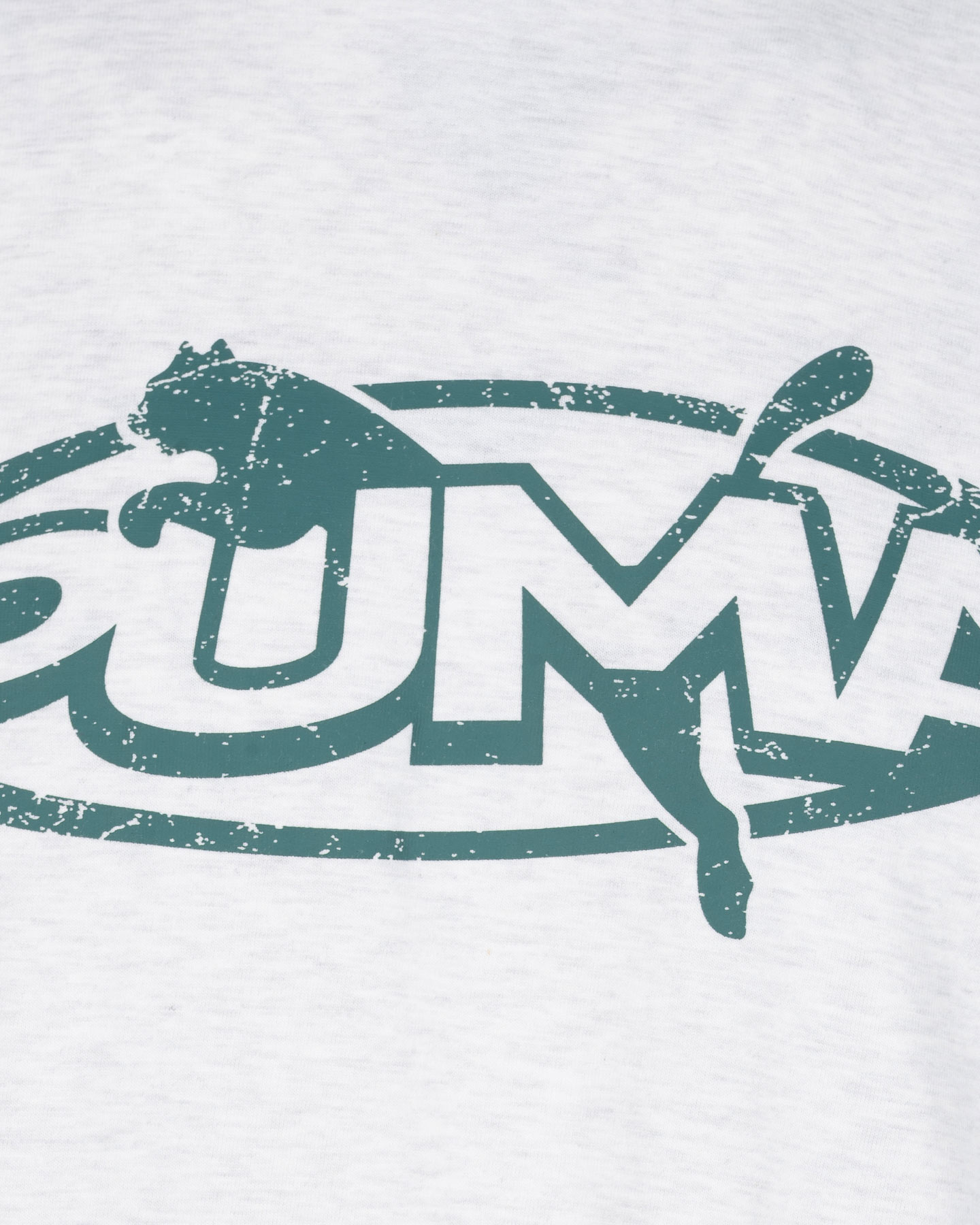 T-shirt PUMA LOGO LAB RACING M - Grigio - 2 | Cisalfa Sport