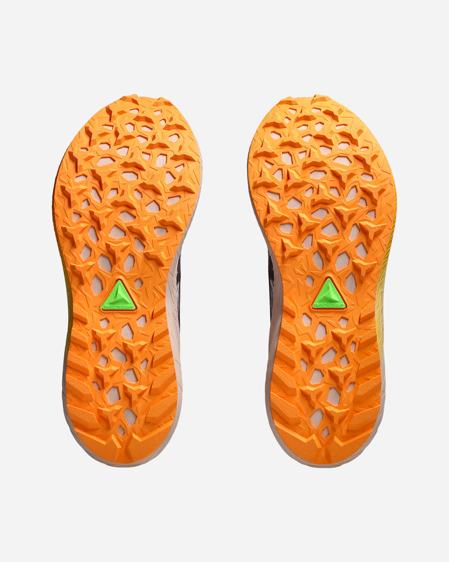 Scarpe trail ASICS FUJI LITE 5 W - Color mix - 2 | Cisalfa Sport