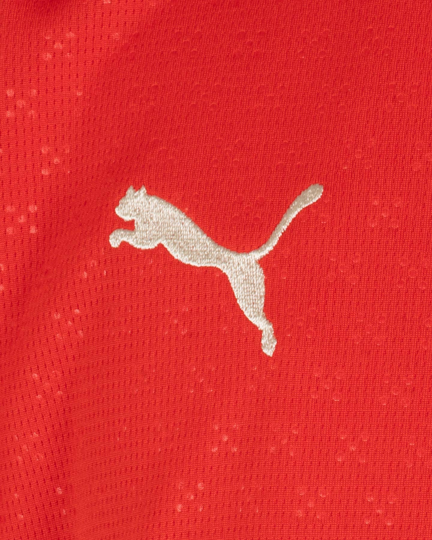 Maglia calcio ufficiale PUMA PORTOGALLO HOME REPLICA JR - Color mix - 2 | Cisalfa Sport