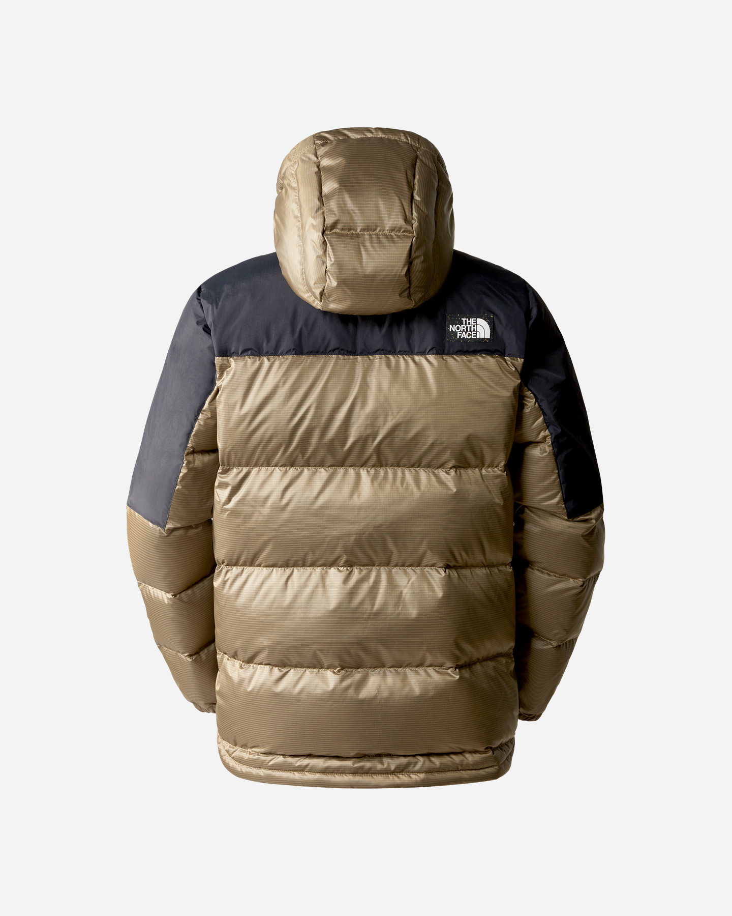 Piumino THE NORTH FACE DIABLO M - Beige - 1 | Cisalfa Sport