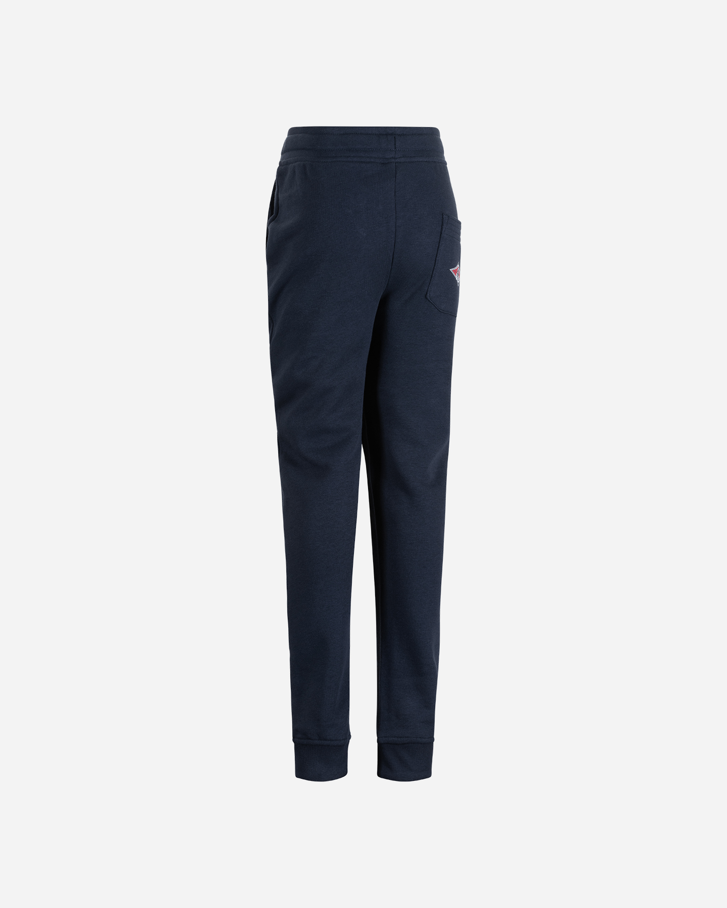 Pantalone BEAR ICONIC SMALL LOGO JR - Blu - 1 | Cisalfa Sport