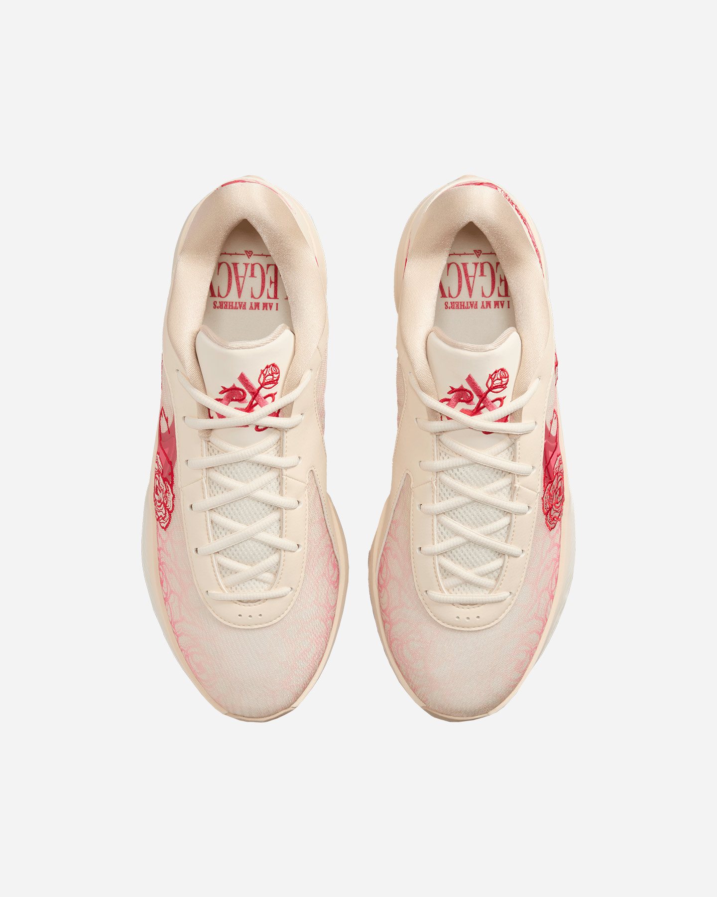 Scarpe basket NIKE ZOOM FREAK 6 M - Beige - 2 | Cisalfa Sport