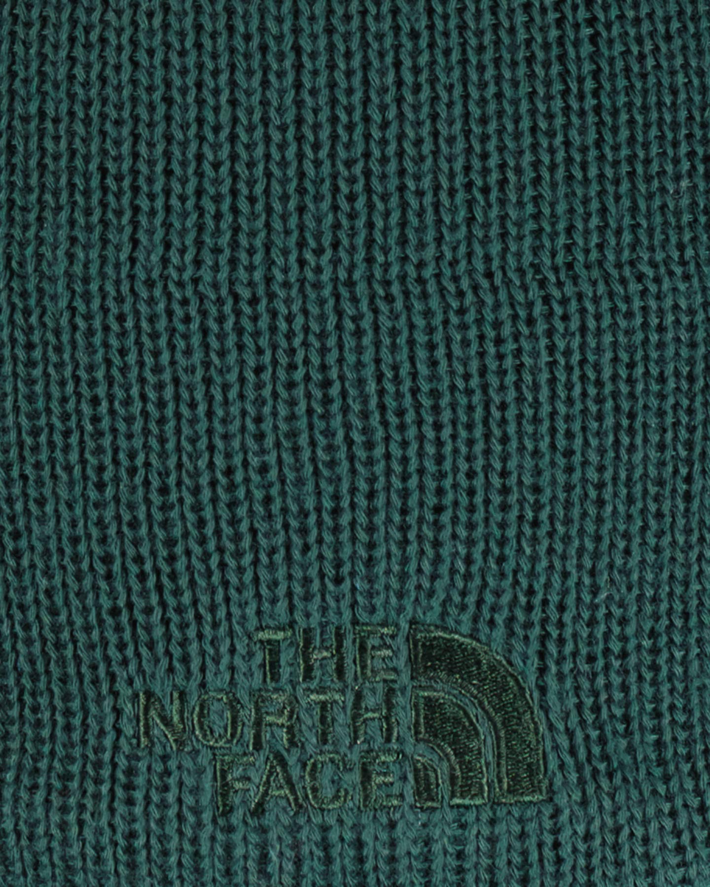 Berretto THE NORTH FACE BONES RECYCLED - 4 | Cisalfa Sport