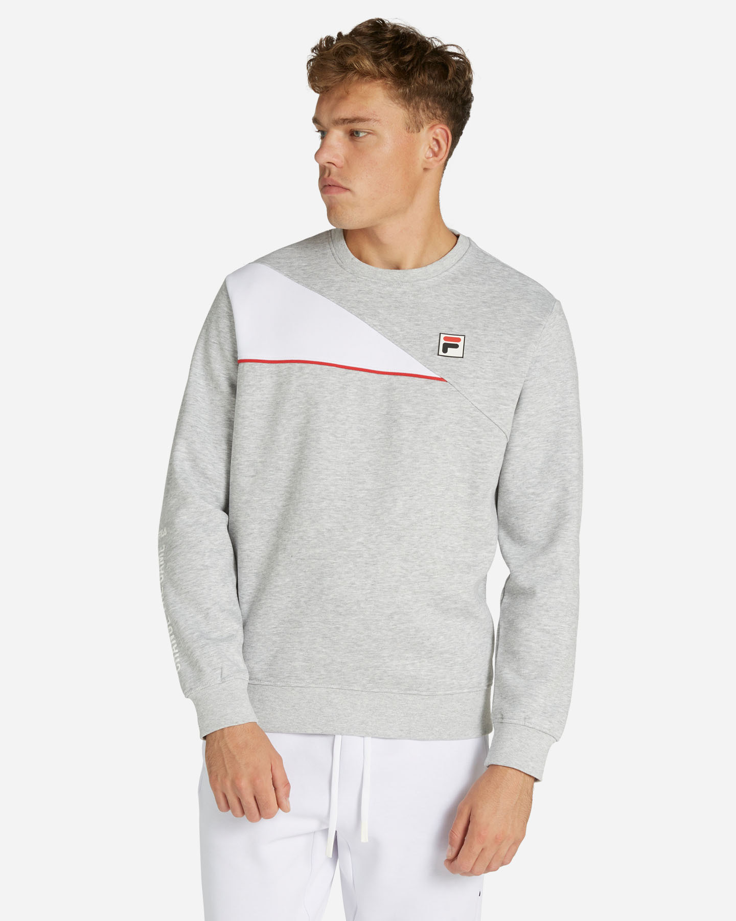 Felpa FILA SPORT F-BOX M - Grigio - 0 | Cisalfa Sport