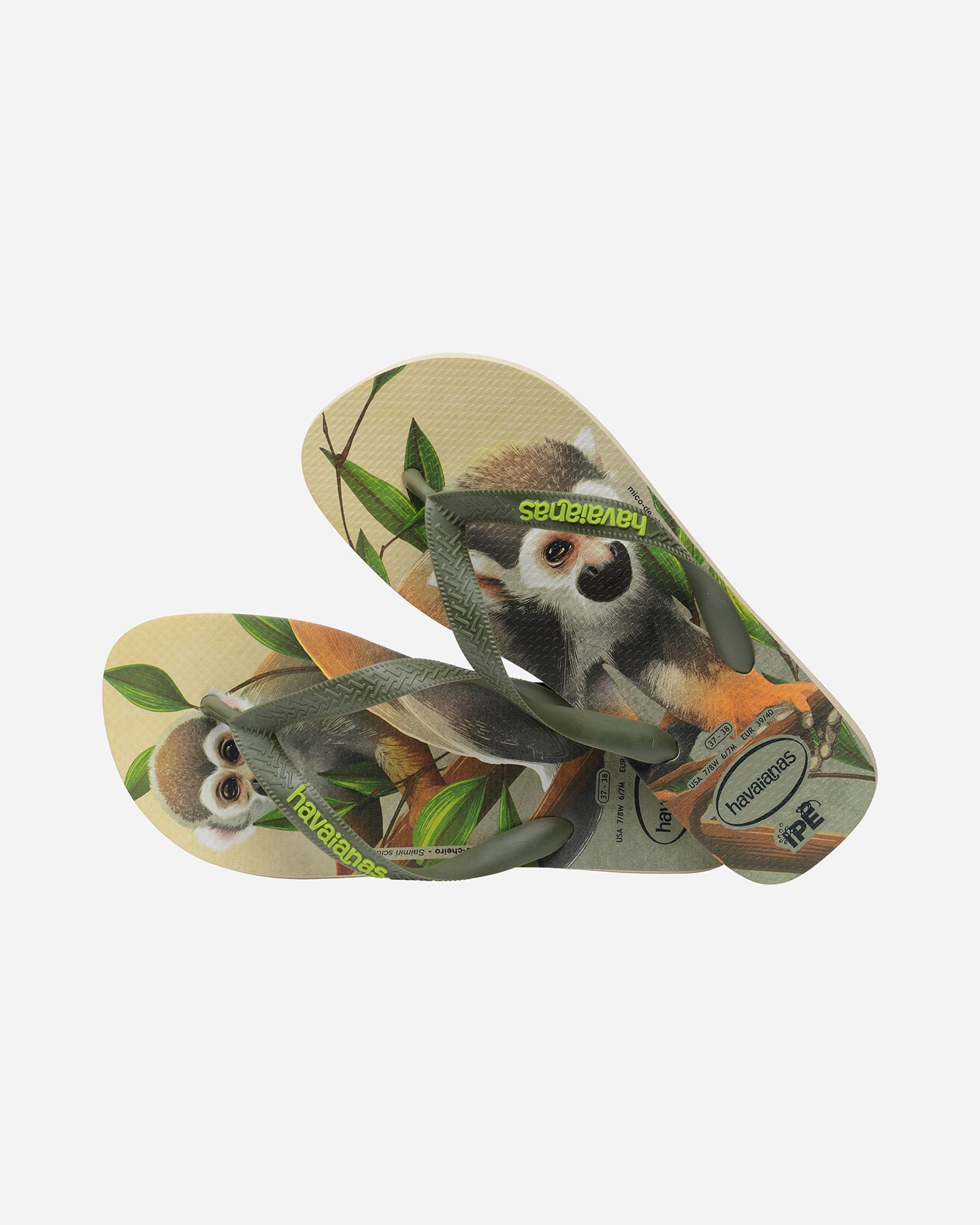 Infradito HAVAIANAS IPE W - 6 | Cisalfa Sport