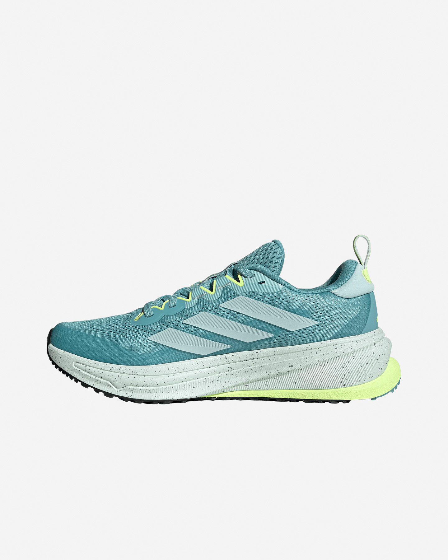 Scarpe trail ADIDAS SUPERNOVA RISE ATR W - Grigio - 3 | Cisalfa Sport