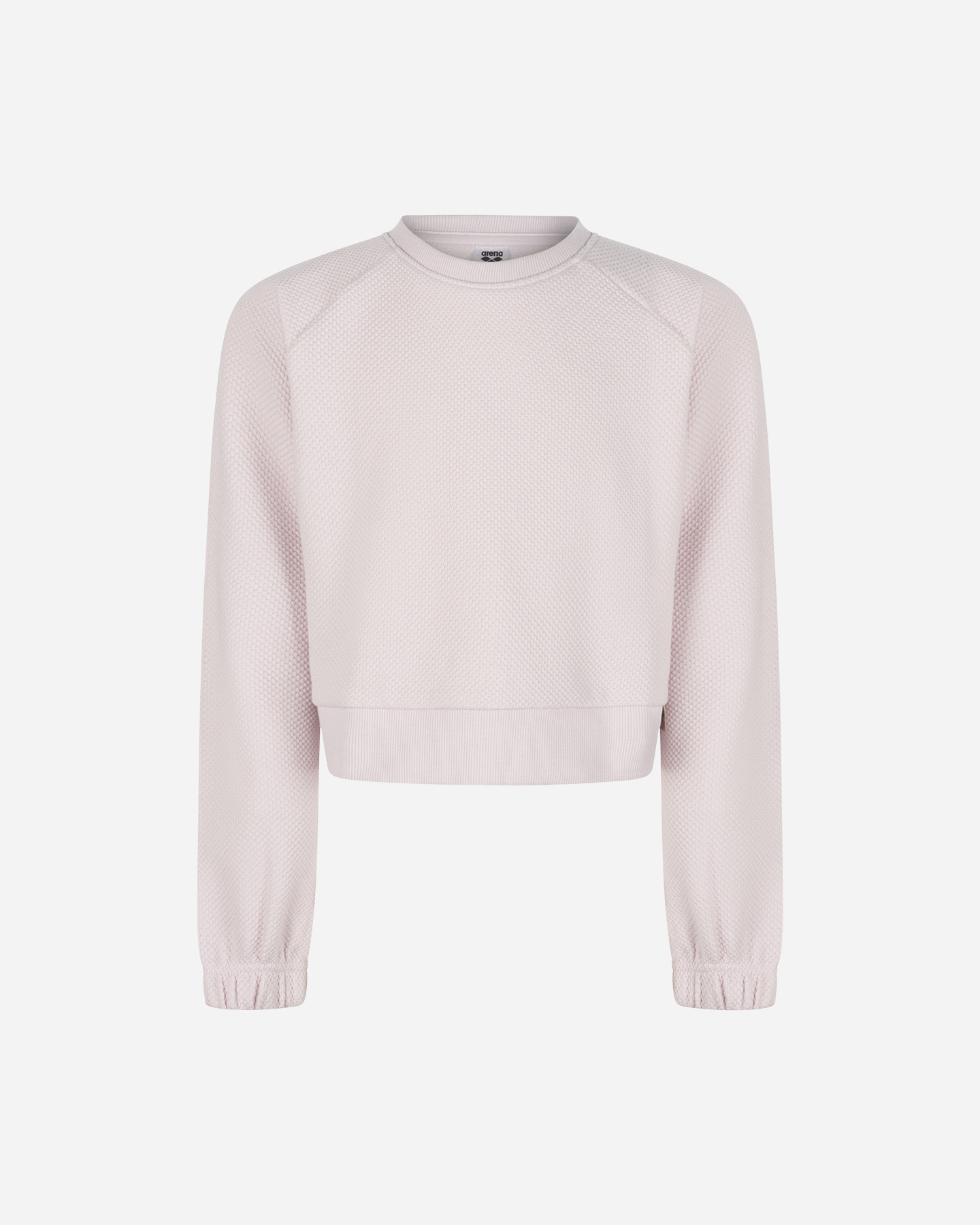 Felpa ARENA ATHLETIC PROGRESS JR - Lilla - 0 | Cisalfa Sport