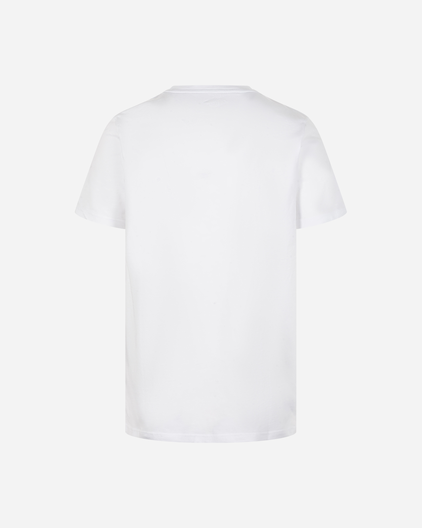 T-shirt BEAR ICONIC SURF M - Bianco - 1 | Cisalfa Sport