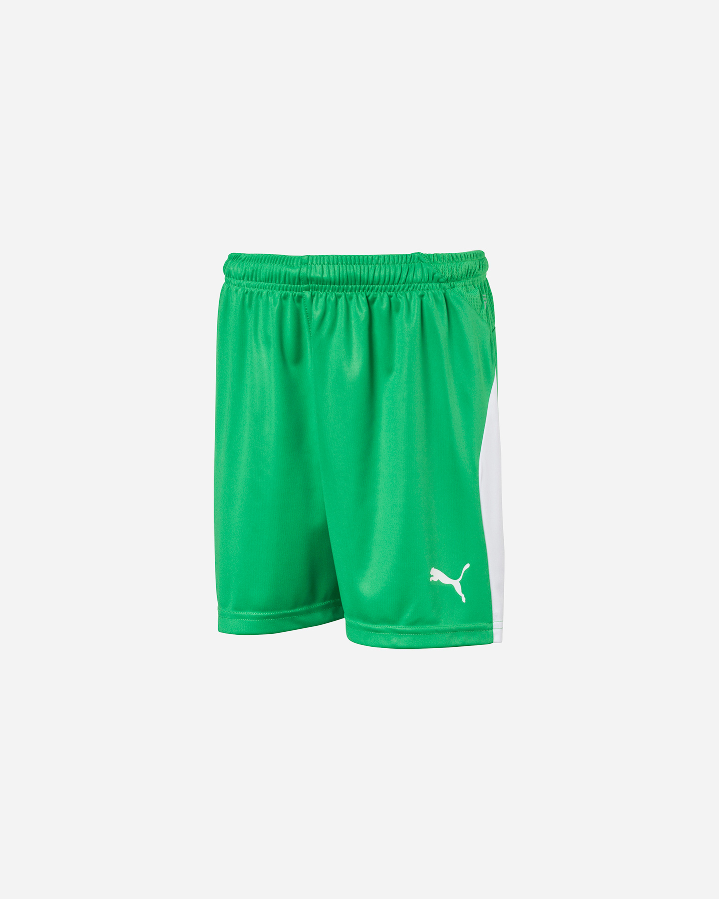 Pantaloncini calcio PUMA LIGA JR - 12 | Cisalfa Sport