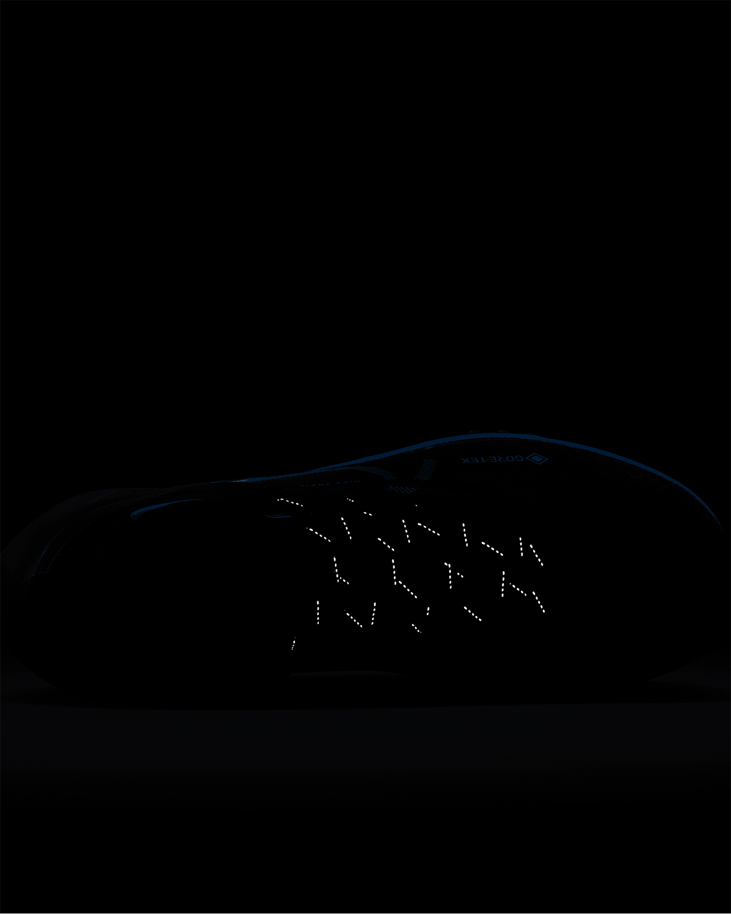 Scarpe trail NIKE REACT PEGASUS TRAIL 4 GTX M - 11 | Cisalfa Sport