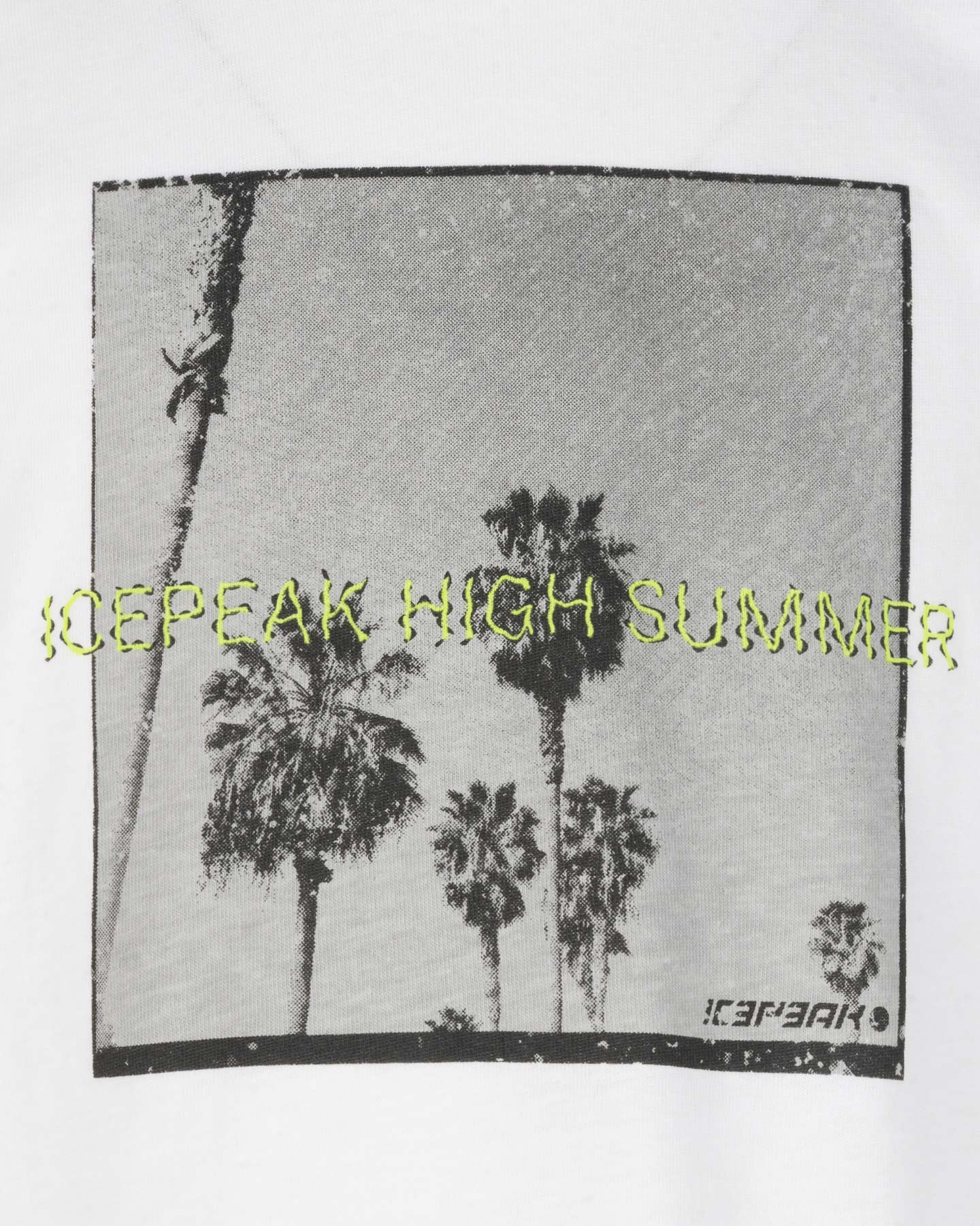 T-shirt ICEPEAK LEADVILLE JR - Bianco - 2 | Cisalfa Sport