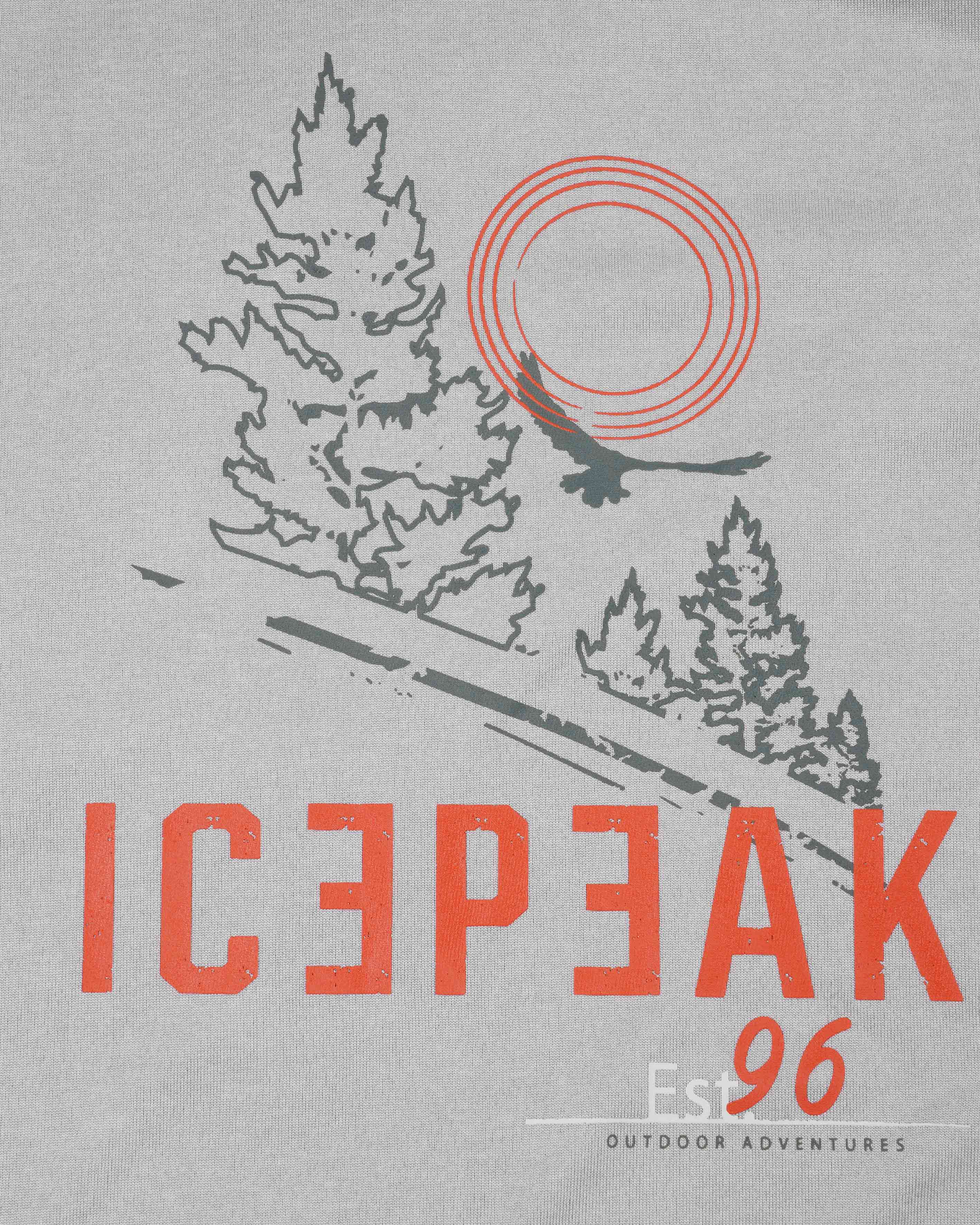 T-shirt ICEPEAK BEARDEN M - Grigio - 4 | Cisalfa Sport