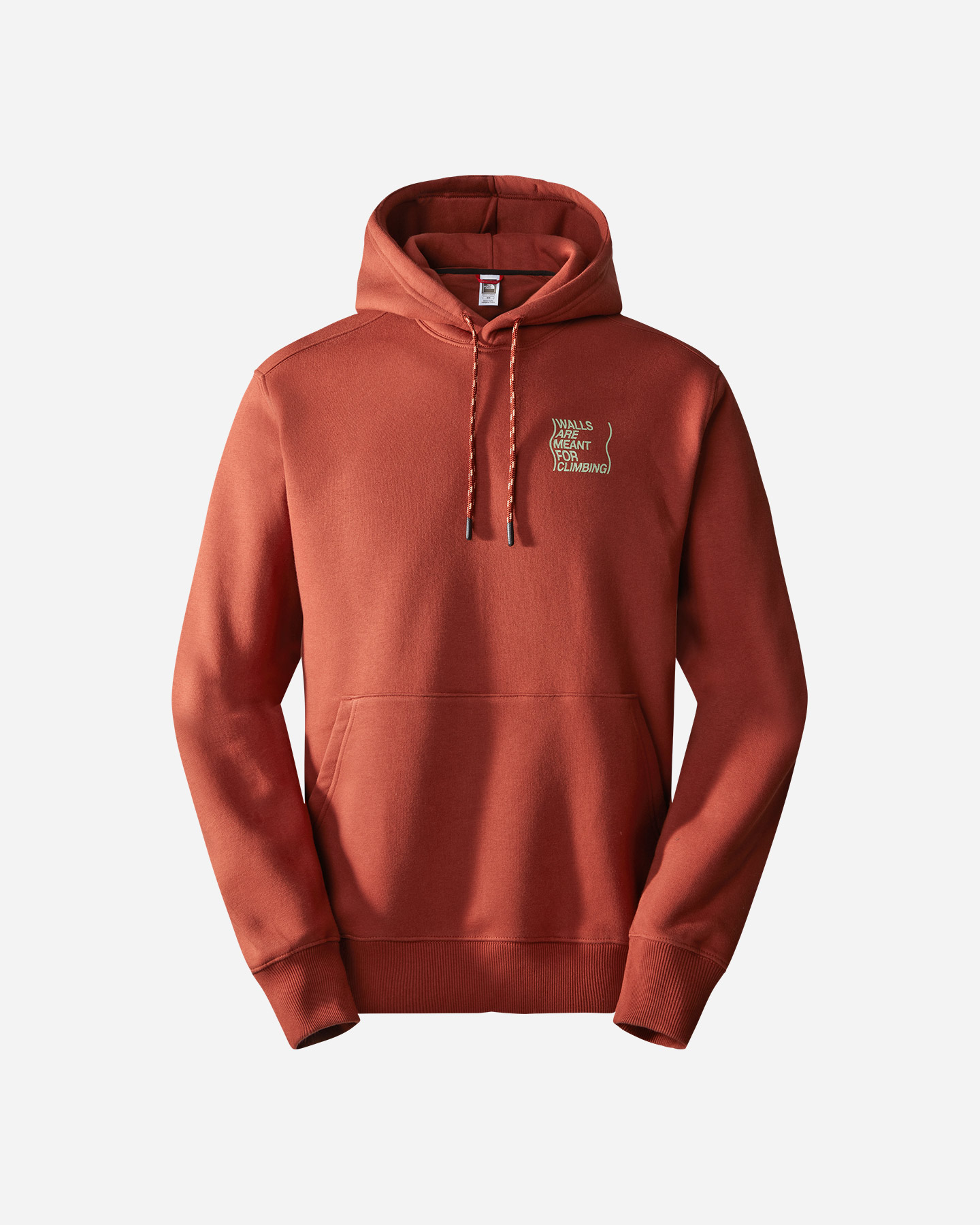 Felpa THE NORTH FACE OUTDOOR GRAPHIC M - 2 | Cisalfa Sport