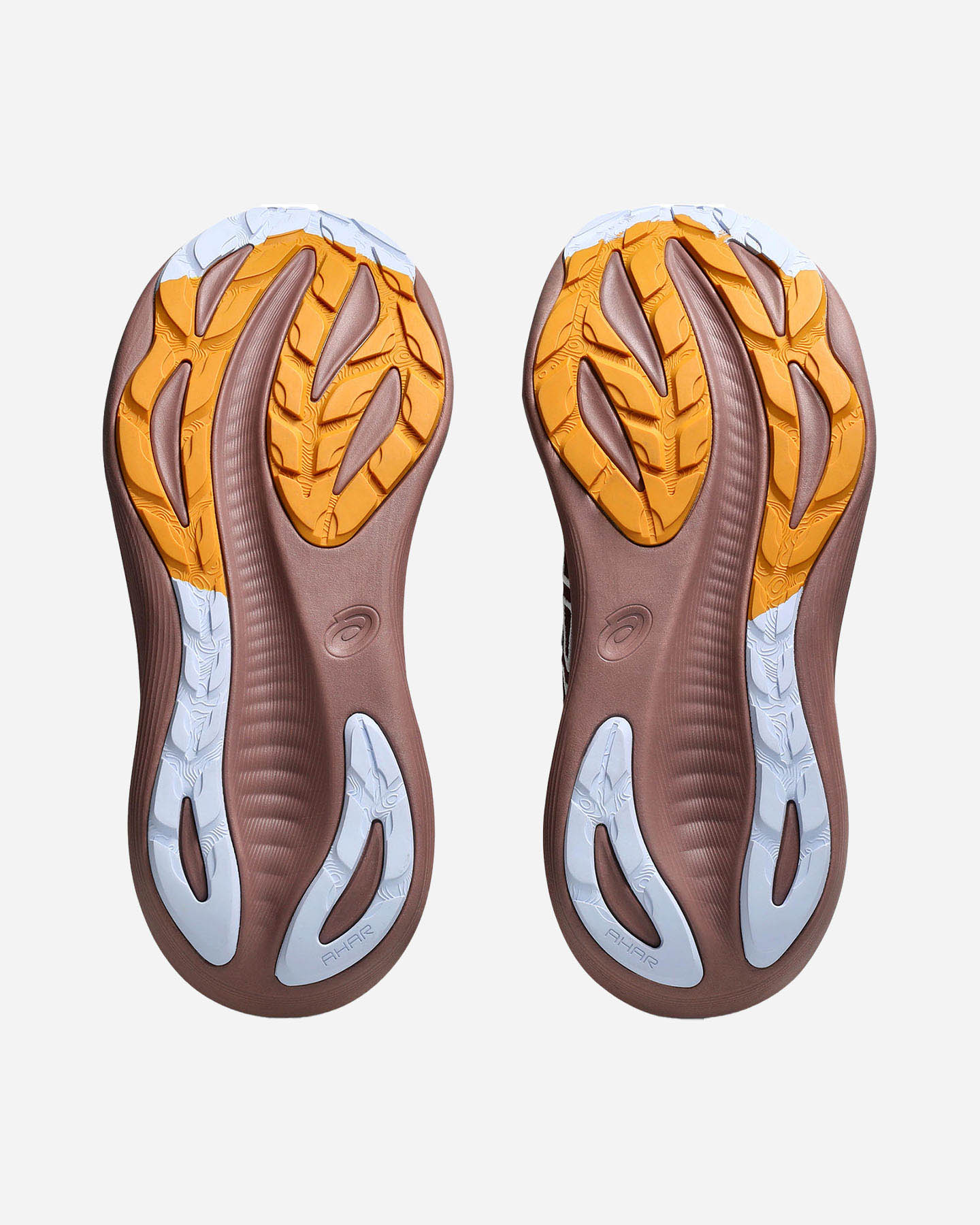 Scarpe running ASICS GEL-NIMBUS 27 TR W - Marrone - 2 | Cisalfa Sport