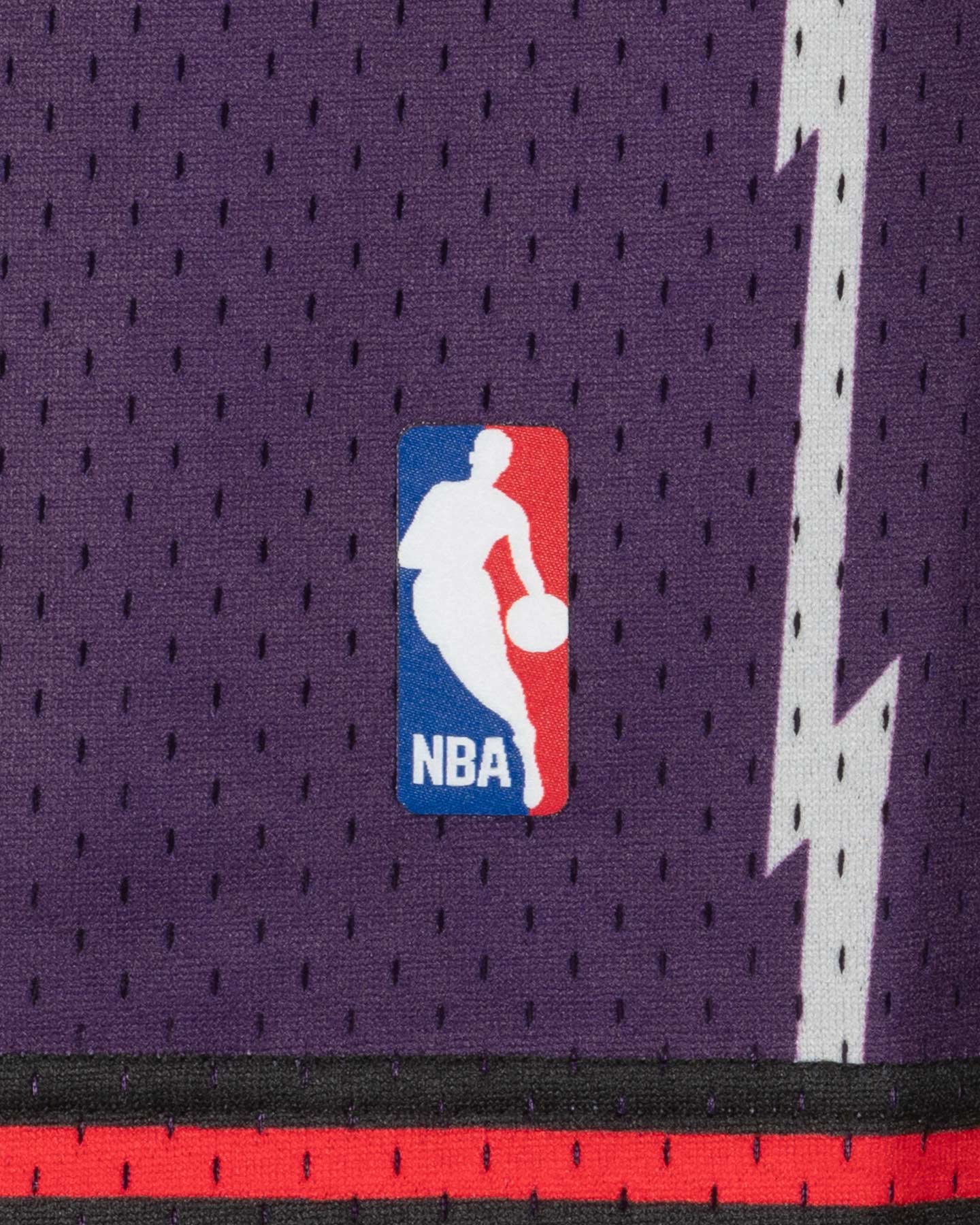 Pantaloncini basket MITCHELL&NESS TORONTO RAPTORS SWINGMAN M - Viola - 2 | Cisalfa Sport