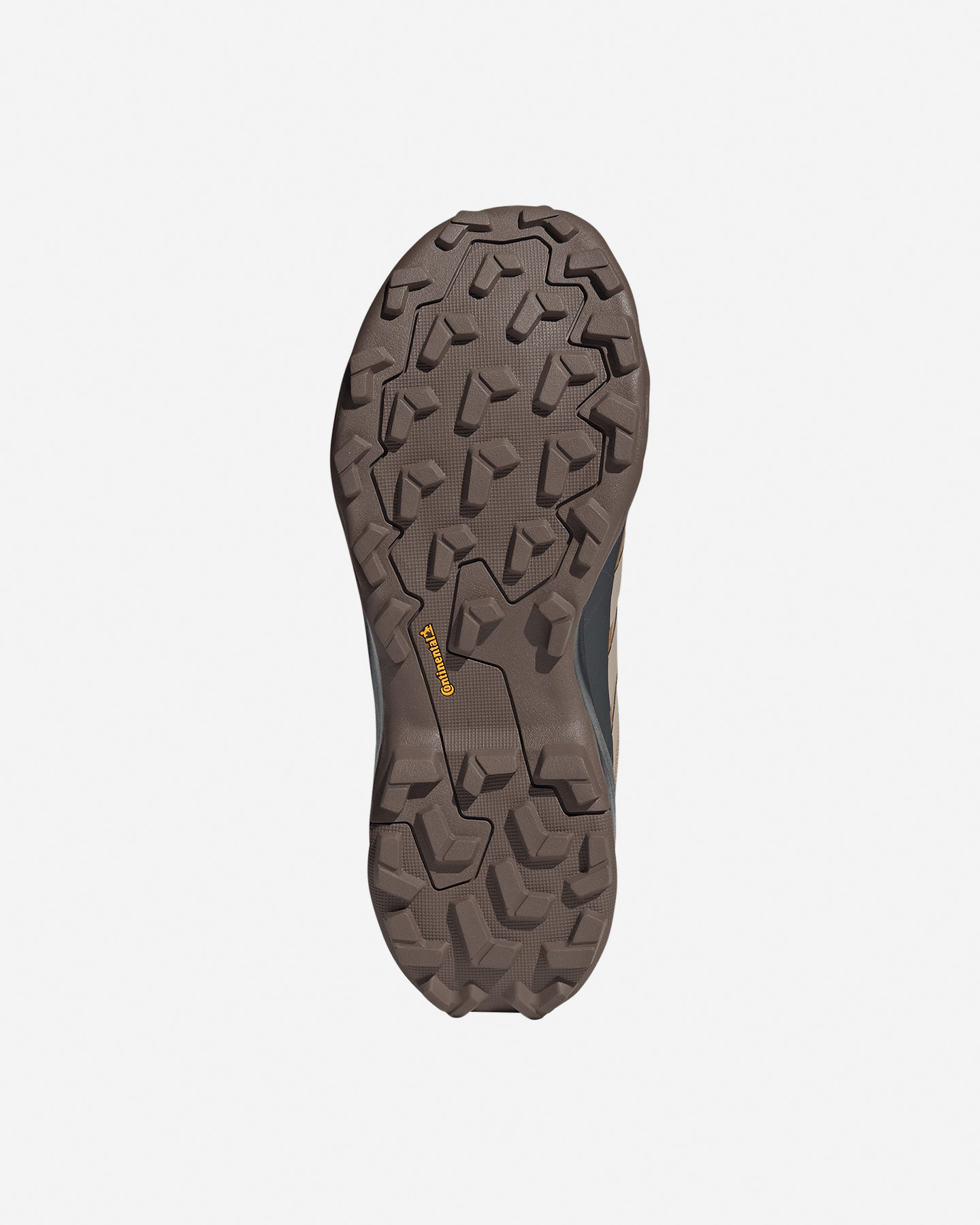 Scarpe trail ADIDAS TERREX SKYCHASER AX5 LOW GTX M - Marrone - 1 | Cisalfa Sport