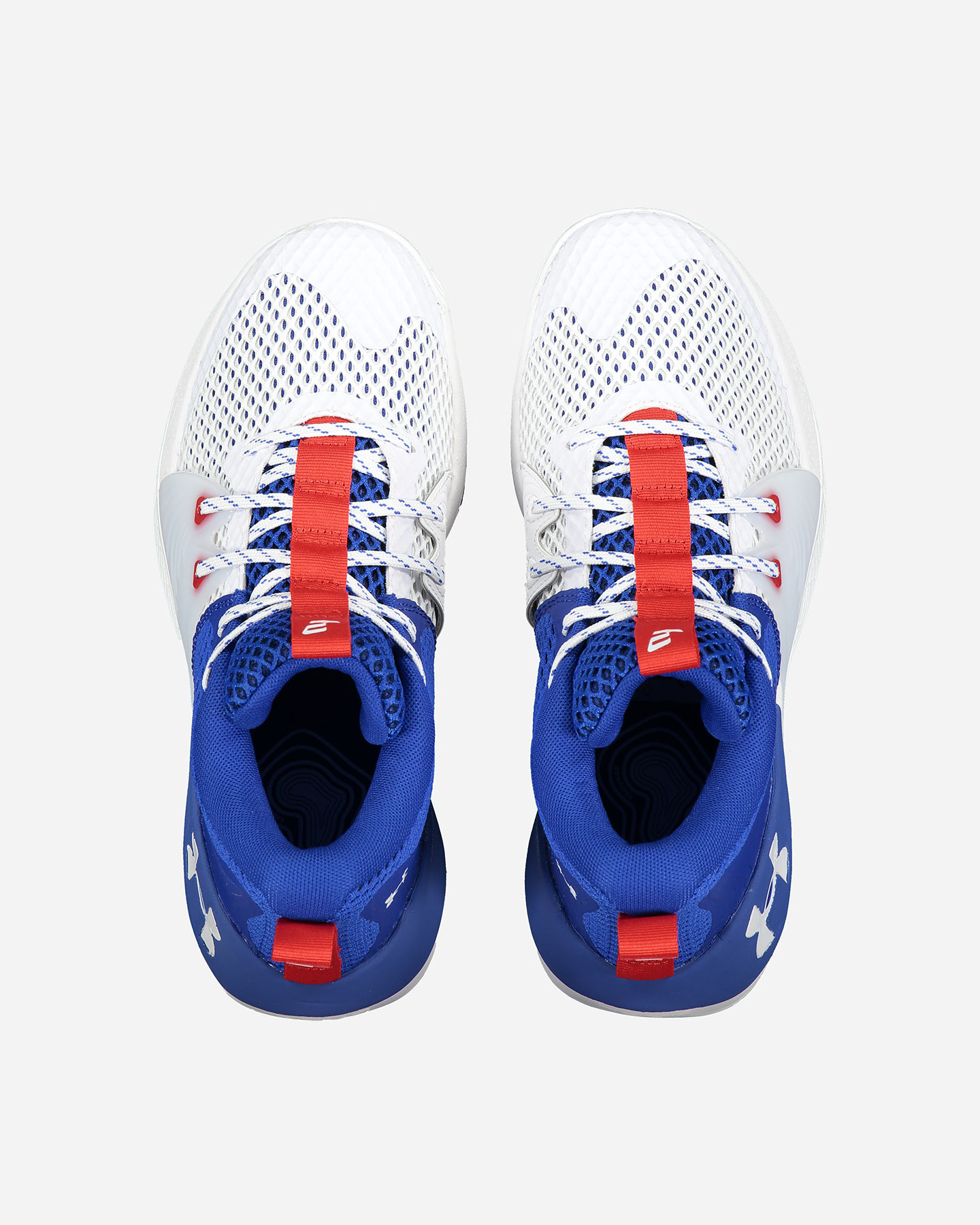 Scarpe basket UNDER ARMOUR EMBIID 1  - 6 | Cisalfa Sport