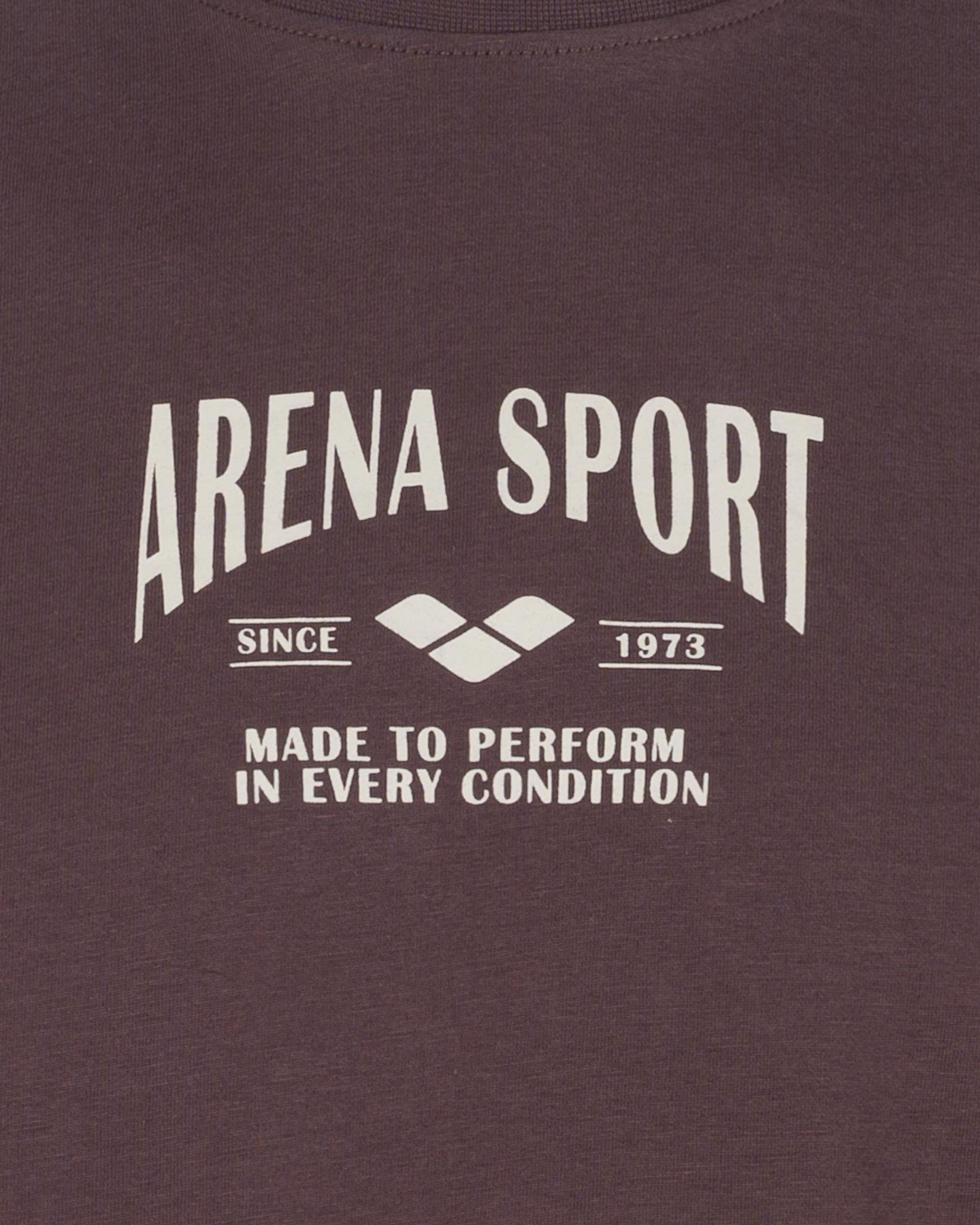 T-shirt ARENA ATHLETIC PROGRESS M - Viola - 2 | Cisalfa Sport