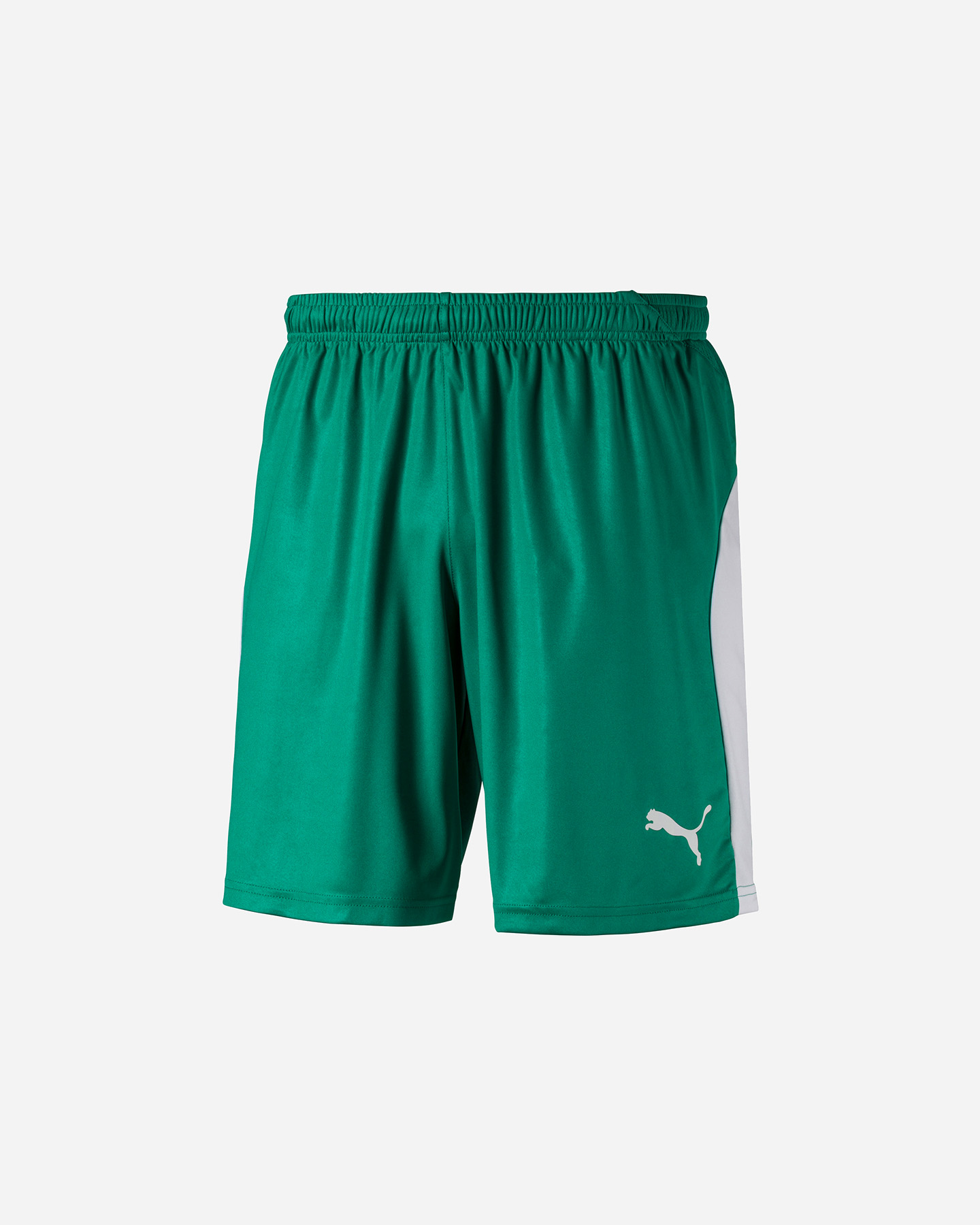 Pantaloncini calcio PUMA LIGA M - 2 | Cisalfa Sport