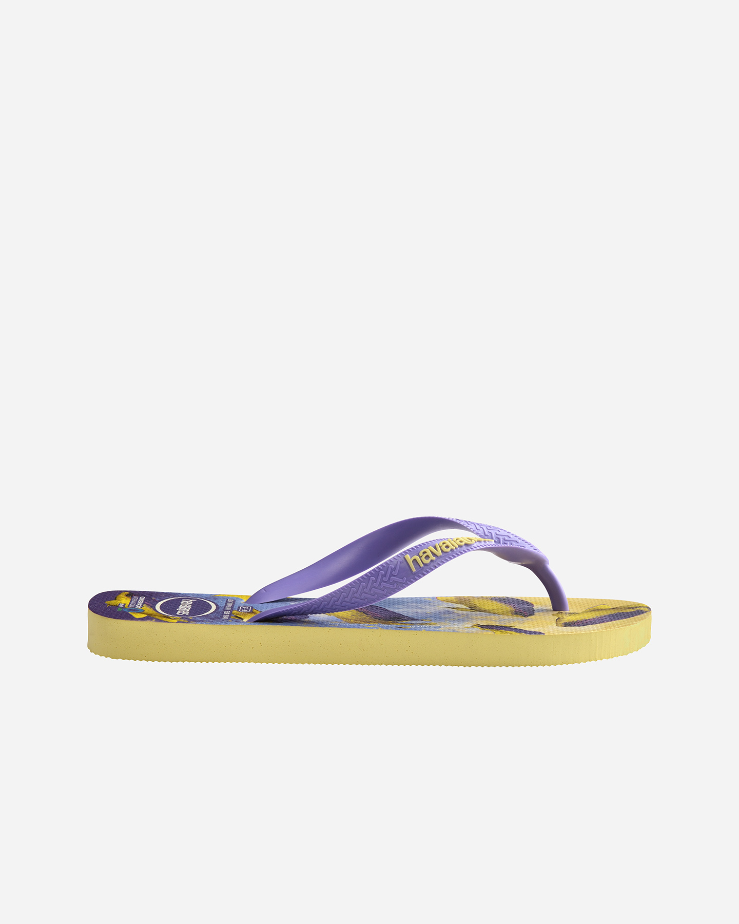 Infradito HAVAIANAS CONSERVATION M - 9 | Cisalfa Sport