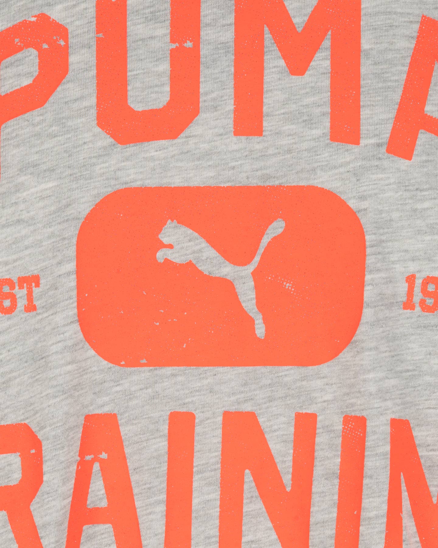 T-shirt training PUMA GRAPHICS M - Grigio - 2 | Cisalfa Sport