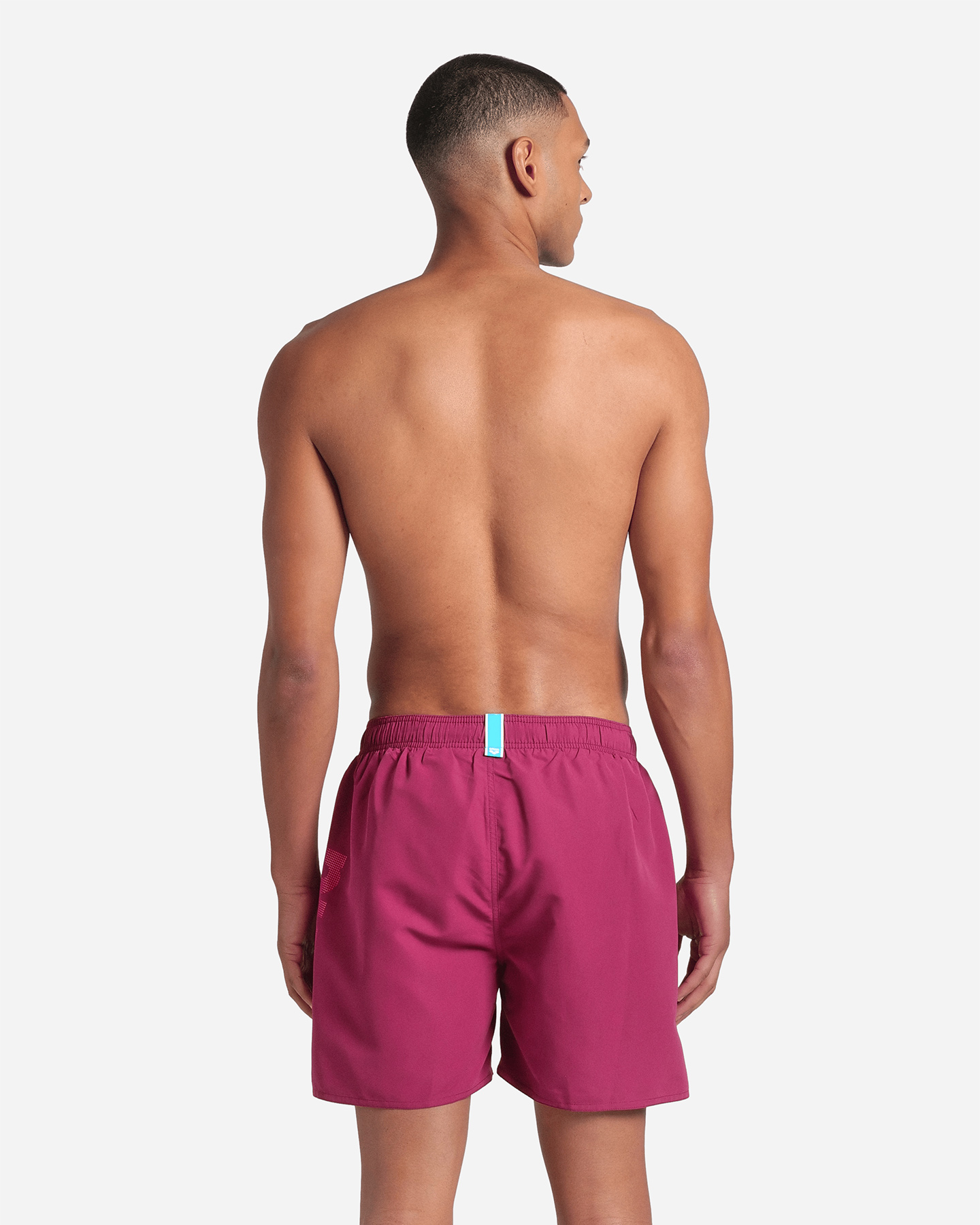 Boxer mare ARENA FUNDAMENTALS LOGO M - Viola - 1 | Cisalfa Sport