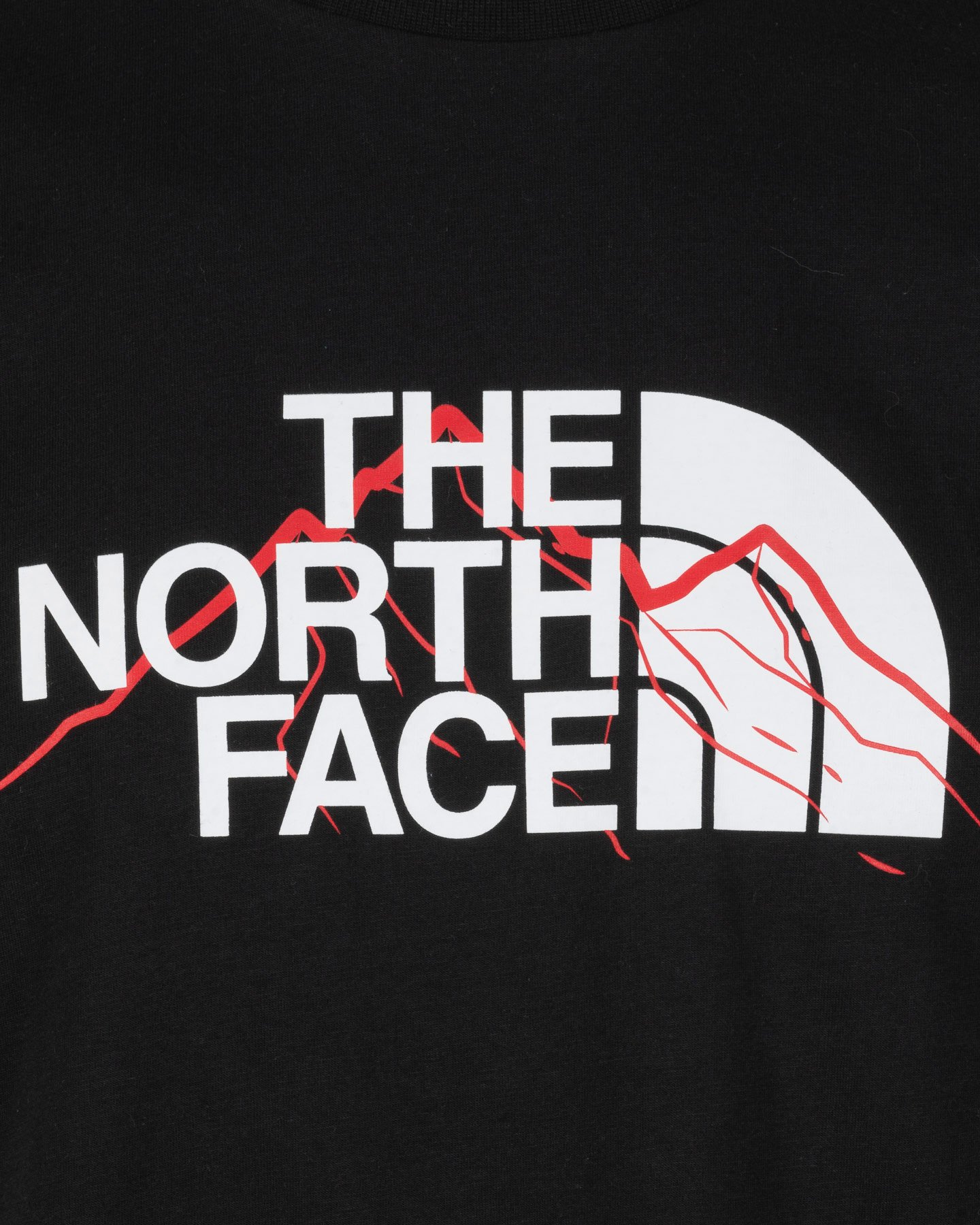 T-shirt THE NORTH FACE MOUNTAIN LINE M - Nero - 2 | Cisalfa Sport