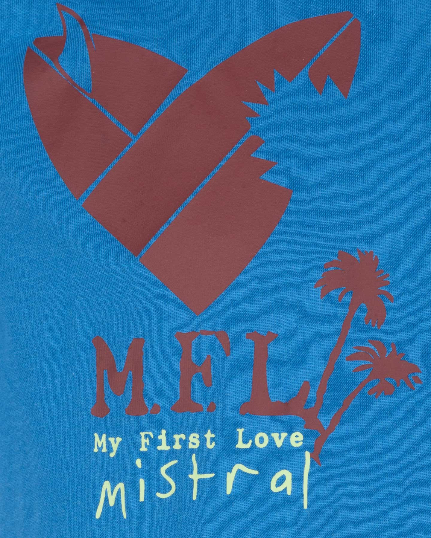 T-shirt MISTRAL ADVENTURE DIVISION M - Blu - 2 | Cisalfa Sport