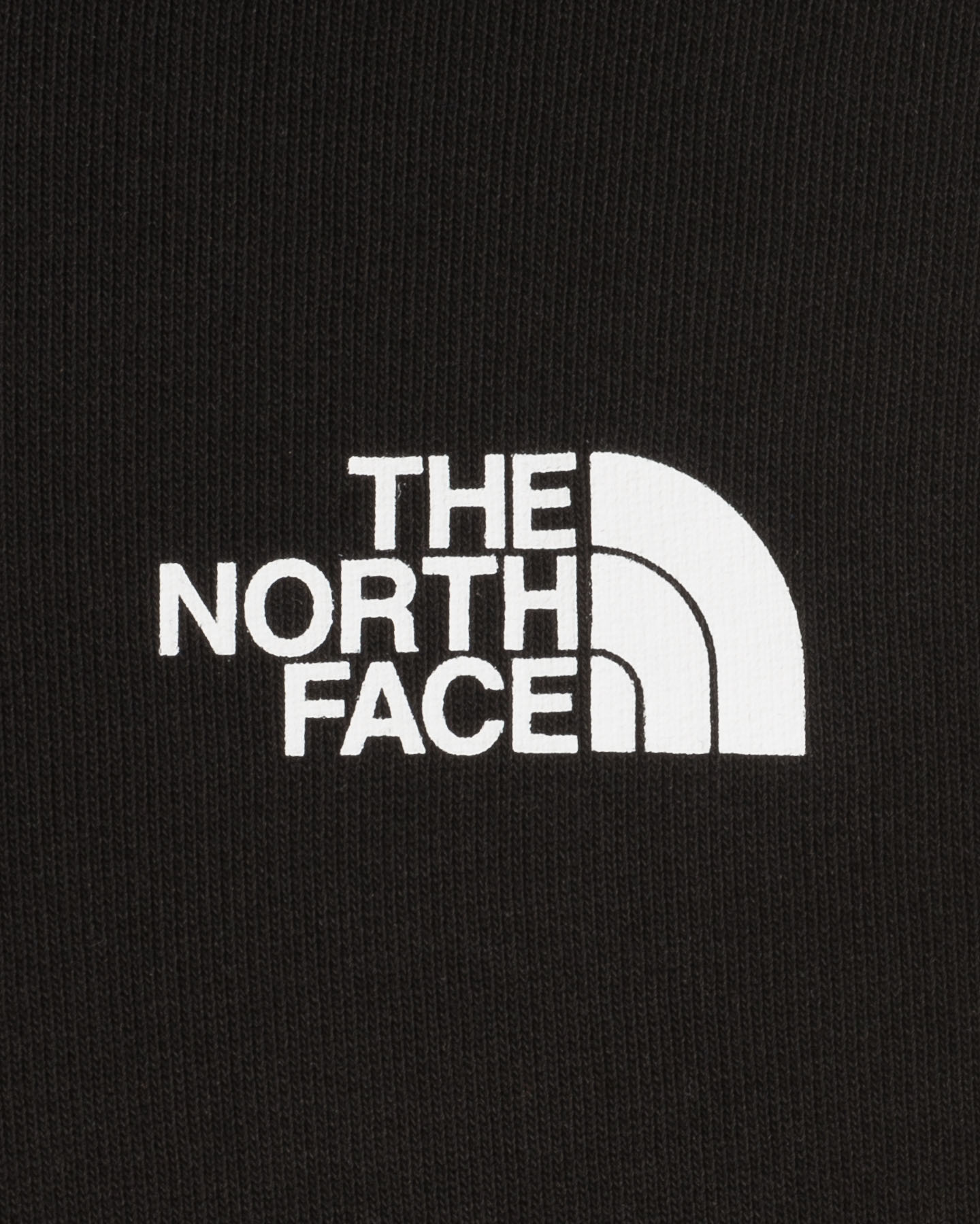 Felpa THE NORTH FACE MODLES BIG LOGO M - Nero - 2 | Cisalfa Sport