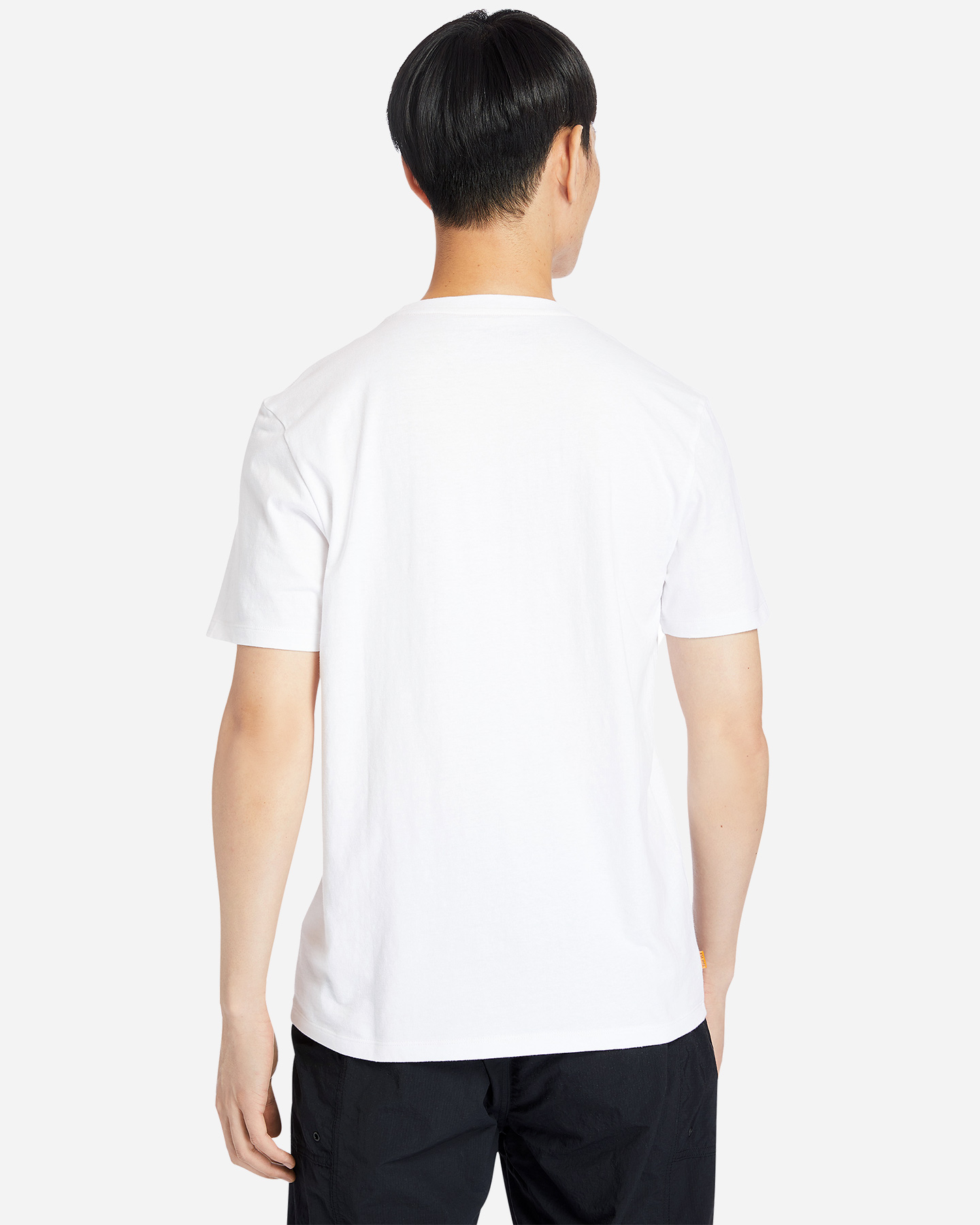 T-shirt TIMBERLAND TREE LOGO BOX M - Bianco - 3 | Cisalfa Sport