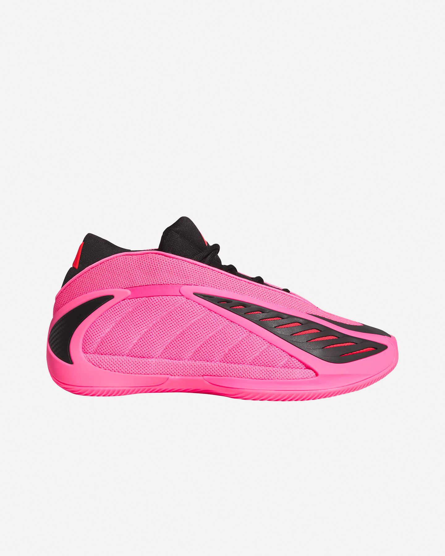 Scarpe basket ADIDAS ANTHONY EDWARDS 2 M - Fucsia - 0 | Cisalfa Sport