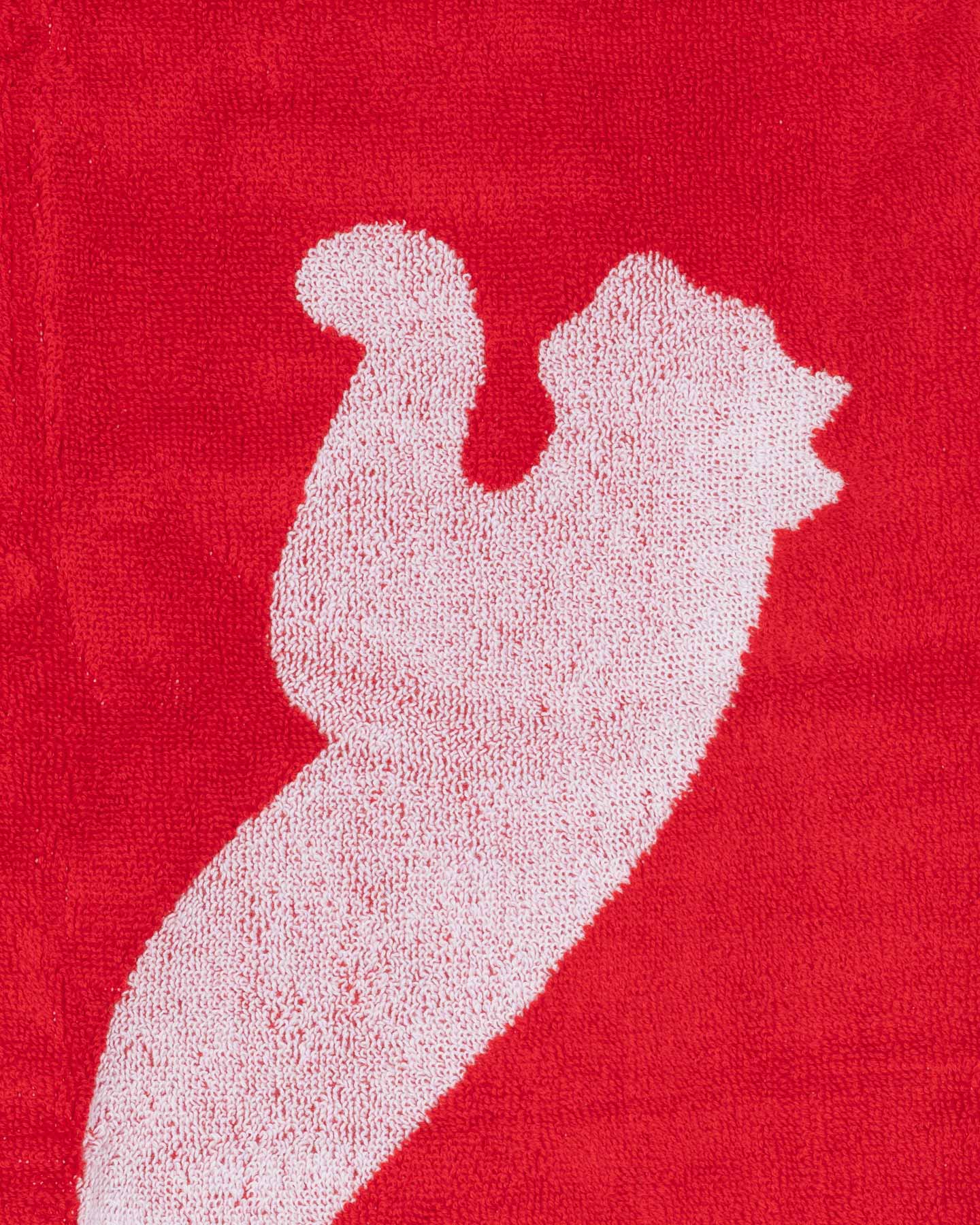 Telo PUMA TEAM  - Rosso - 1 | Cisalfa Sport