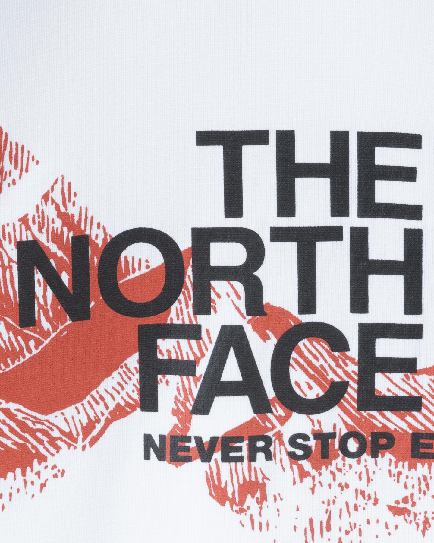 T-shirt THE NORTH FACE NEW ODLES TECH M - 2 | Cisalfa Sport