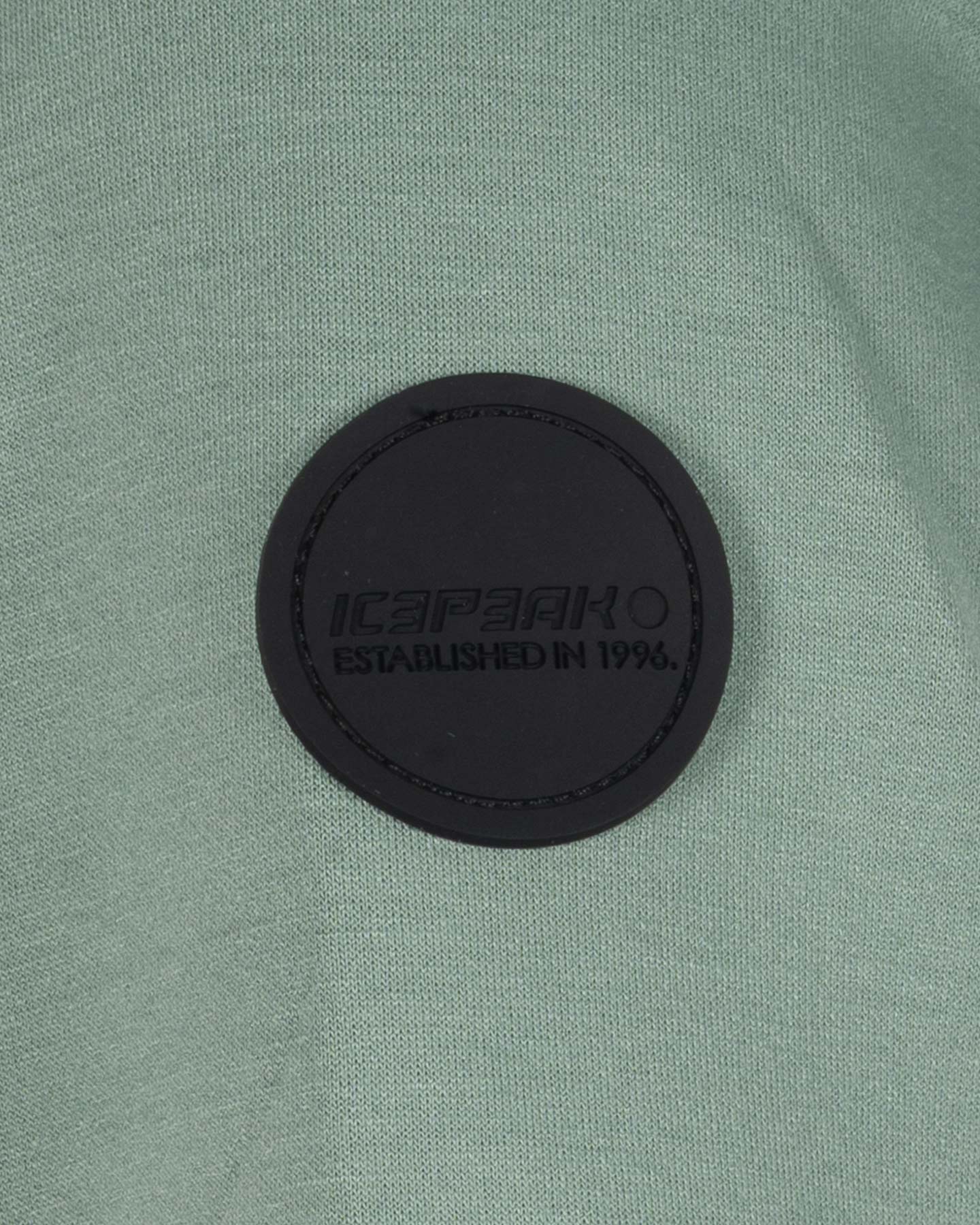 Pile ICEPEAK AMBERG W - Verde - 2 | Cisalfa Sport