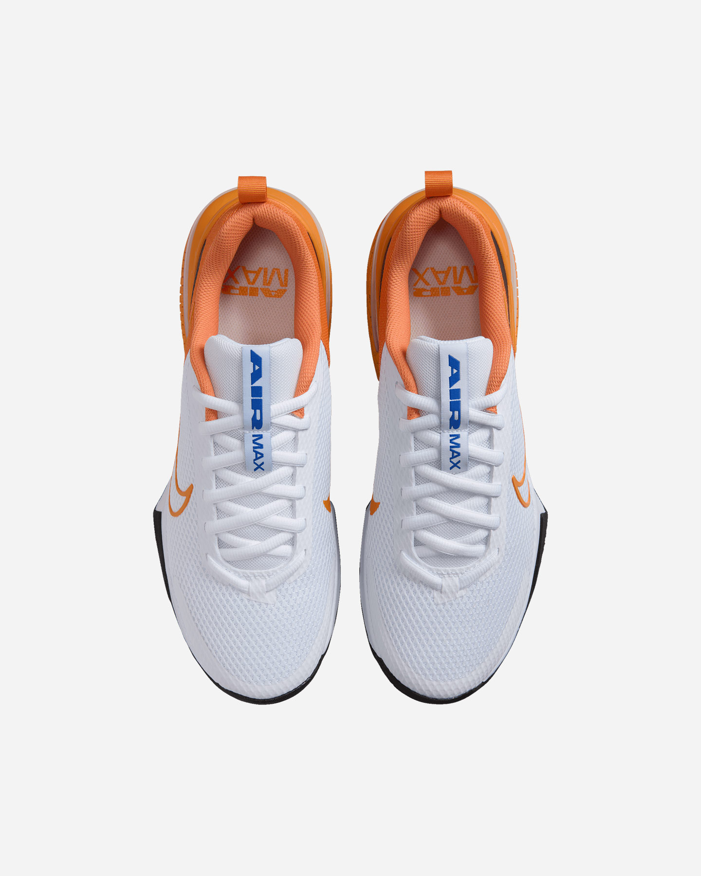 Scarpe training NIKE AIR MAX ALPHA TRAINER 6 M - 9 | Cisalfa Sport