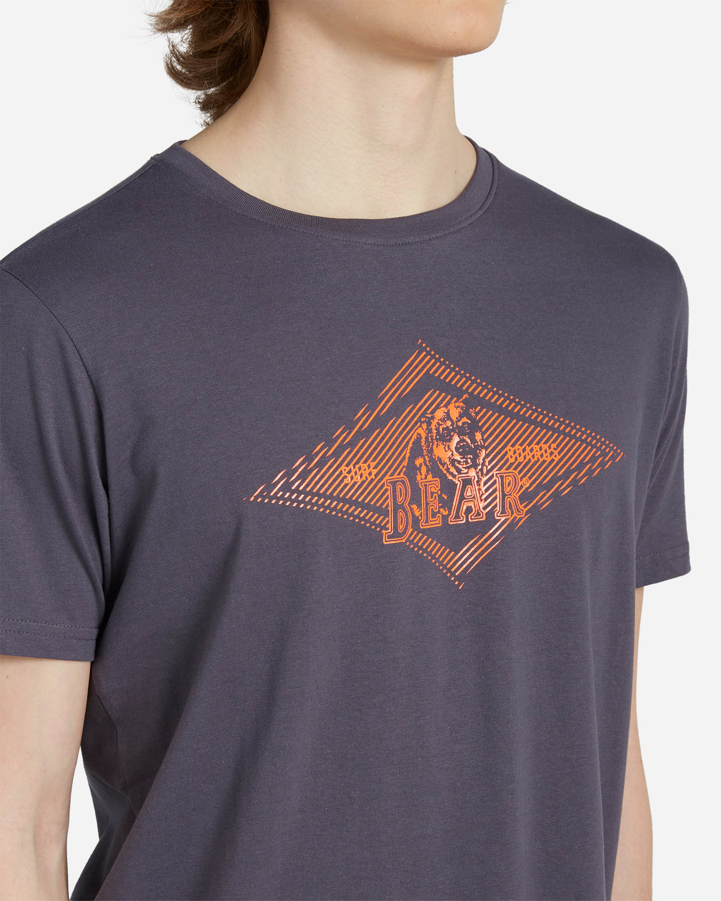 T-shirt BEAR LOGO M - Grigio - 4 | Cisalfa Sport
