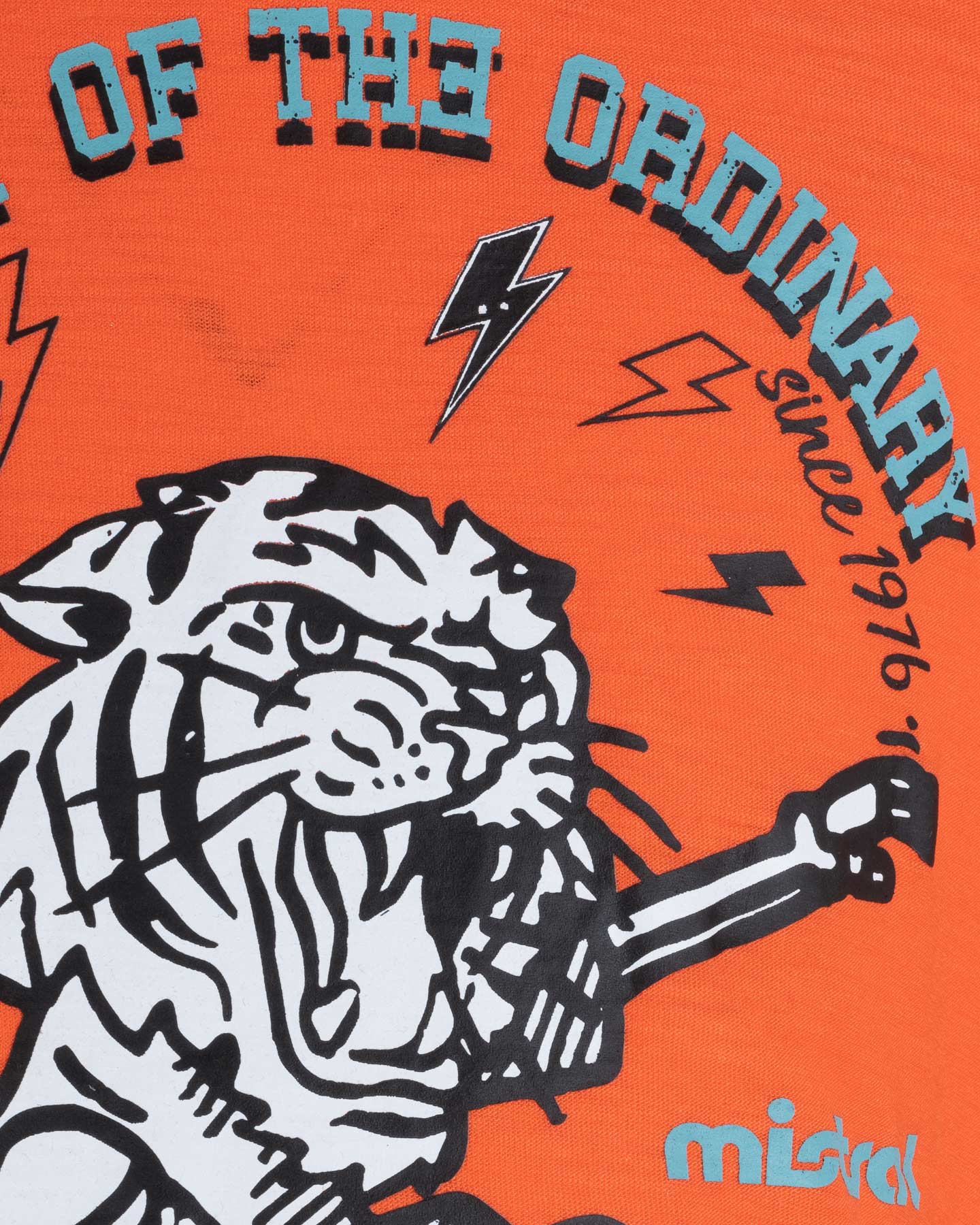 T-shirt MISTRAL SKATER JR - Arancione - 2 | Cisalfa Sport