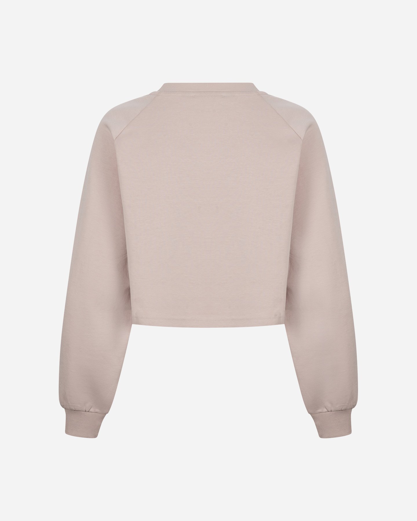 Felpa ABC NEW BASIC W - Rosa - 1 | Cisalfa Sport