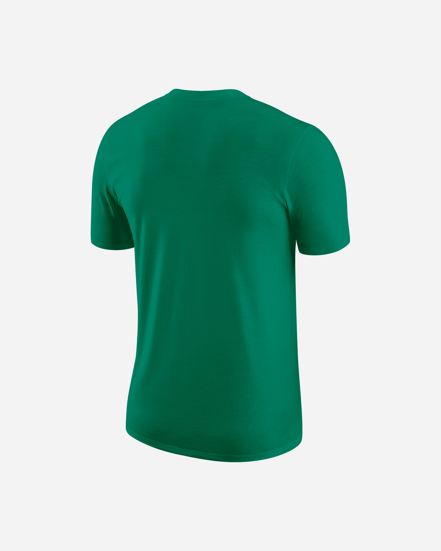 Abbigliamento basket NIKE BOSTON ESSENTIAL BLOCK M - Verde - 1 | Cisalfa Sport