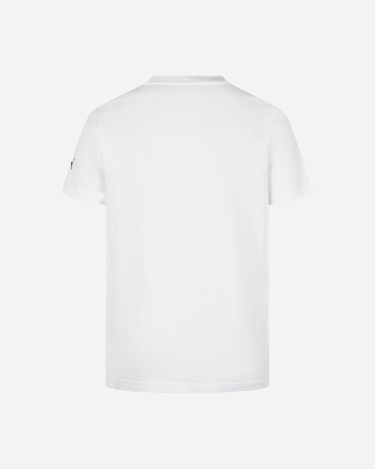 T-shirt PUMA VARSITY SCUDETTO M - Bianco - 1 | Cisalfa Sport