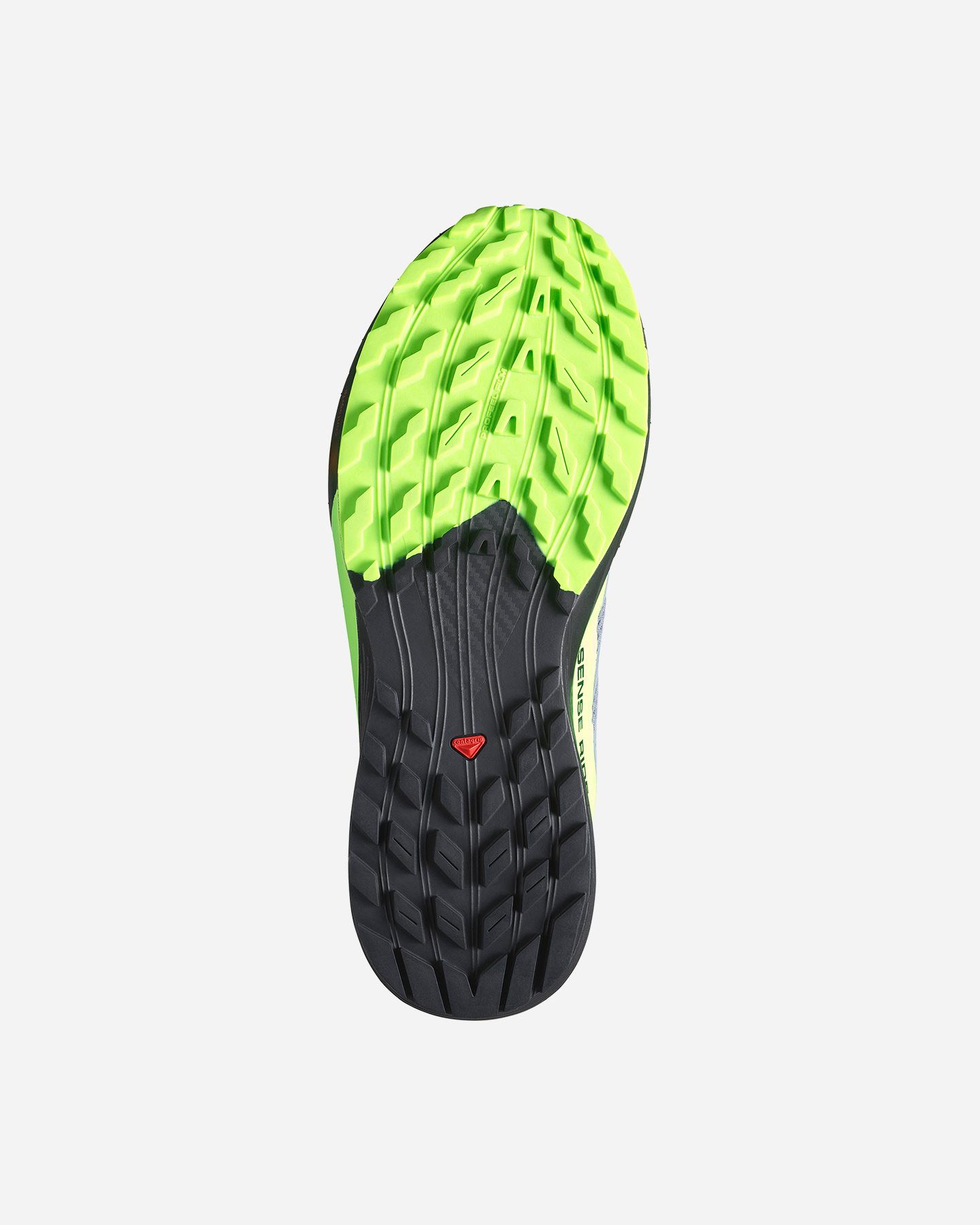 Scarpe trail SALOMON SENSE RIDE 5 GTX M - Grigio - 2 | Cisalfa Sport